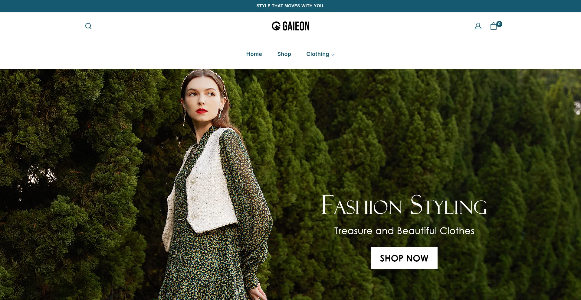 Gaieon.com