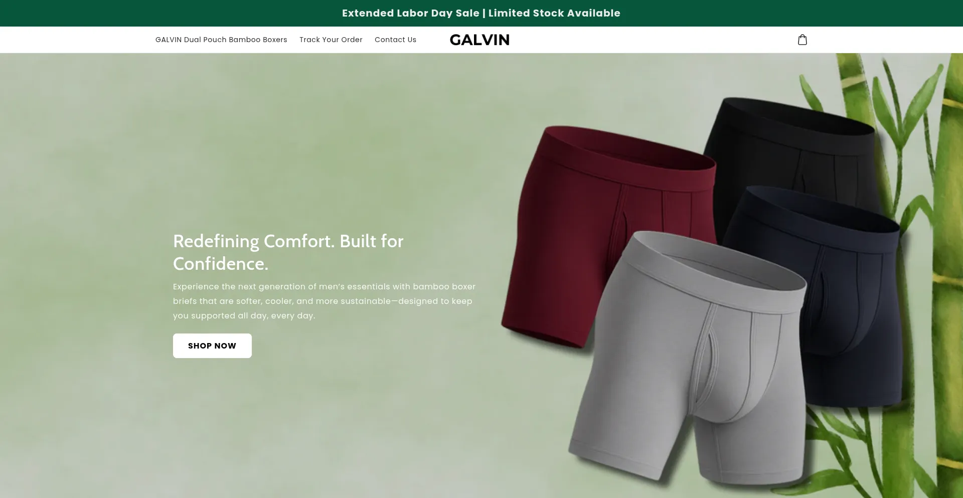 Website screenshot of Galvin.store