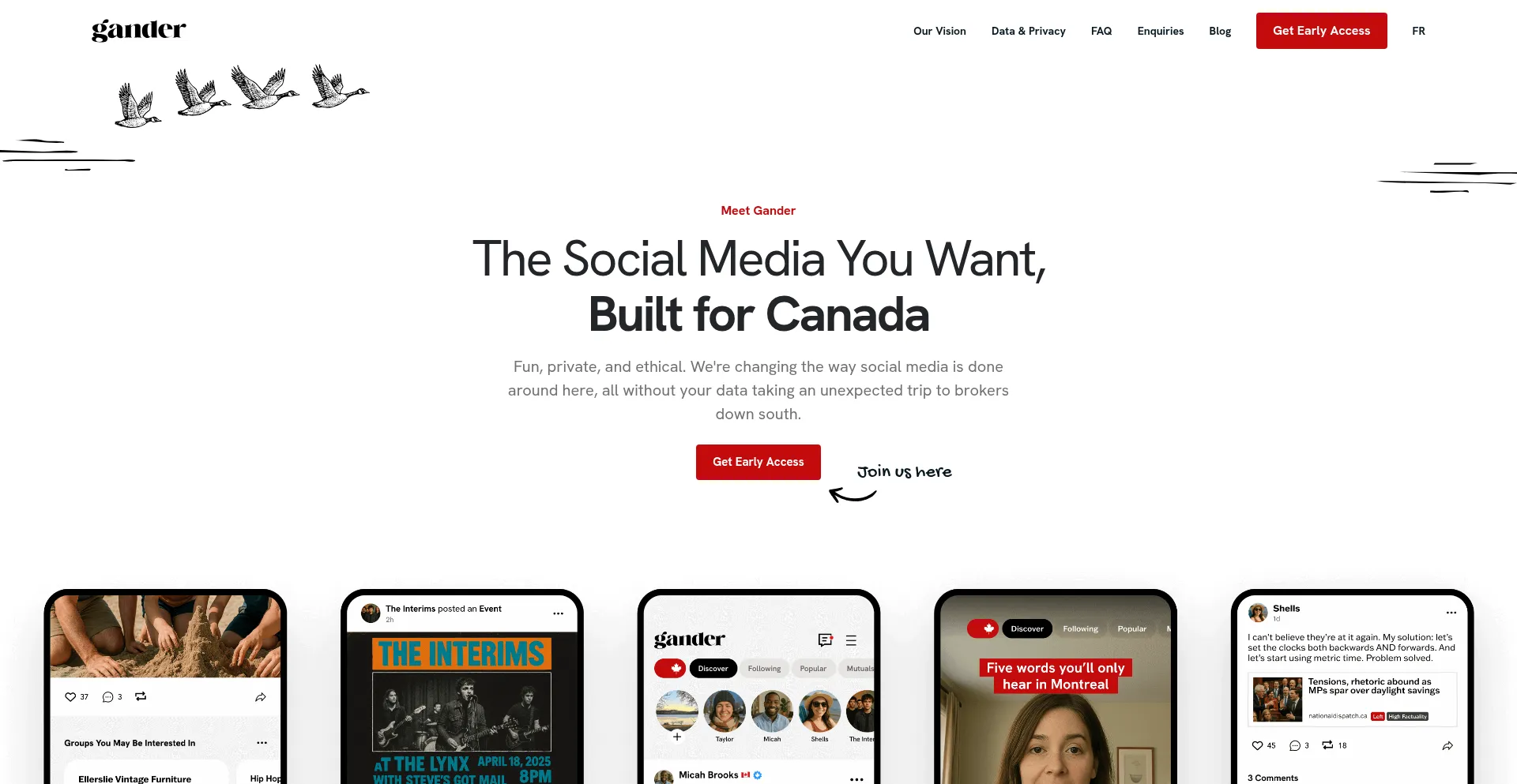 Website screenshot of Gandersocial.ca