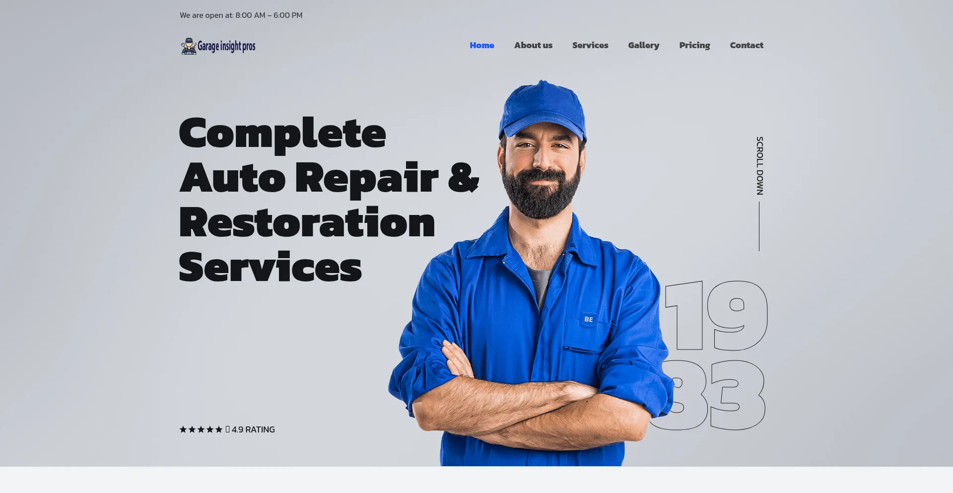 Garageinsightpros.com
