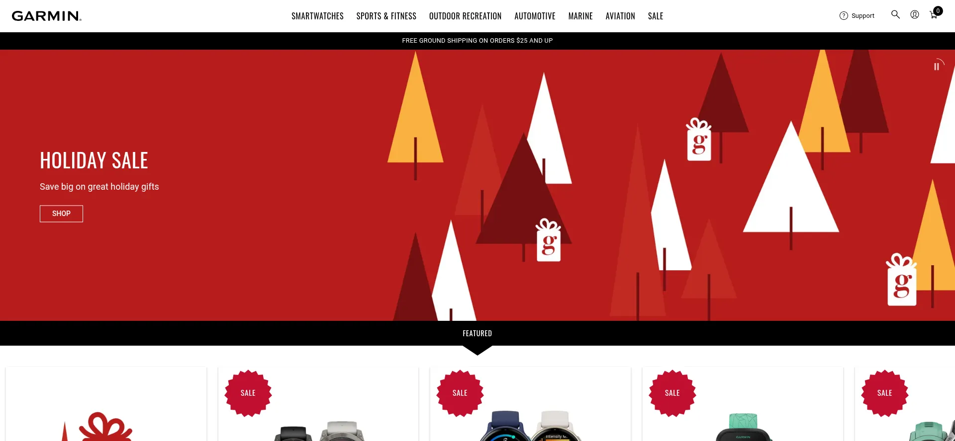 Website screenshot of Garmin.com