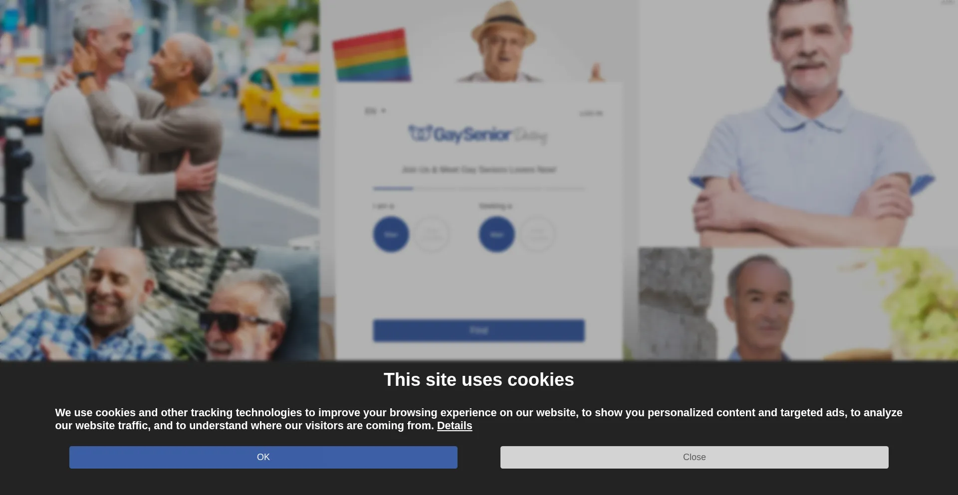 Website screenshot of Gaysenior.dating