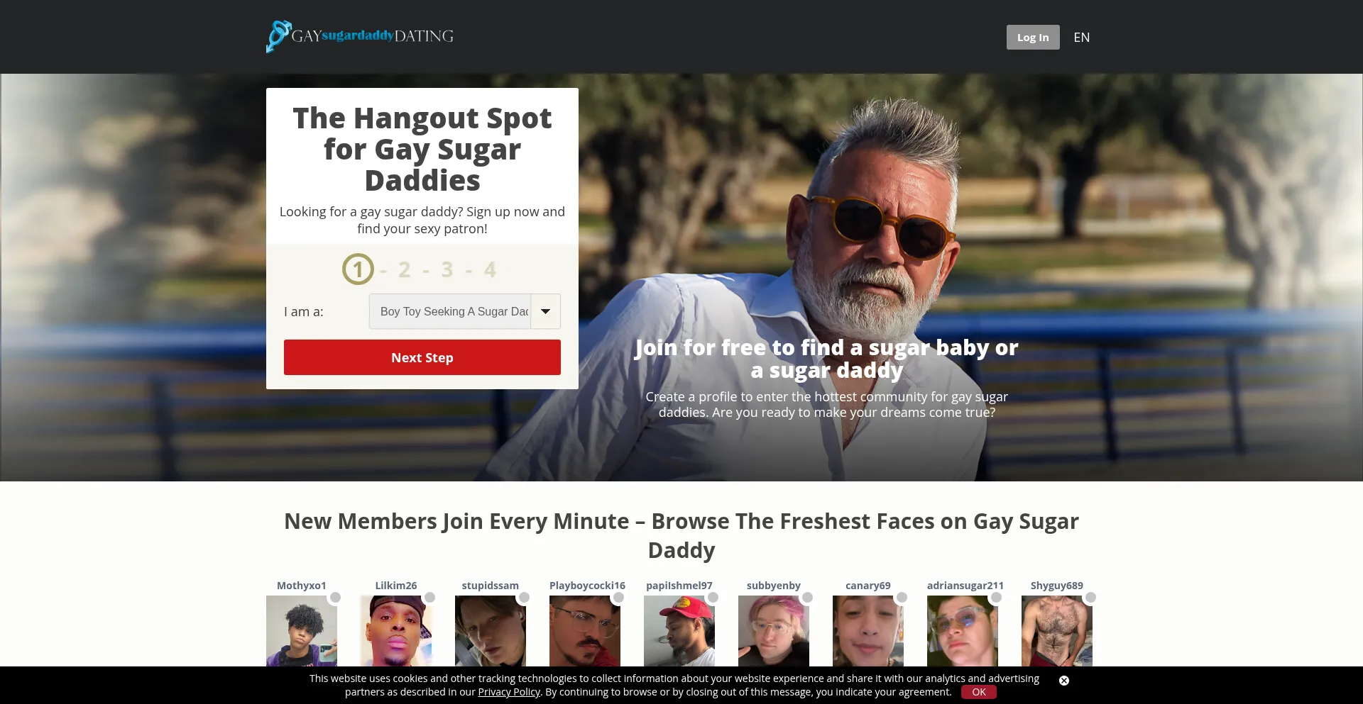 Website screenshot of Gaysugardaddydating.net