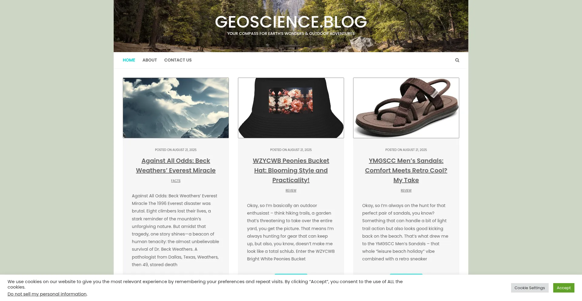 Website screenshot of Geoscience.blog