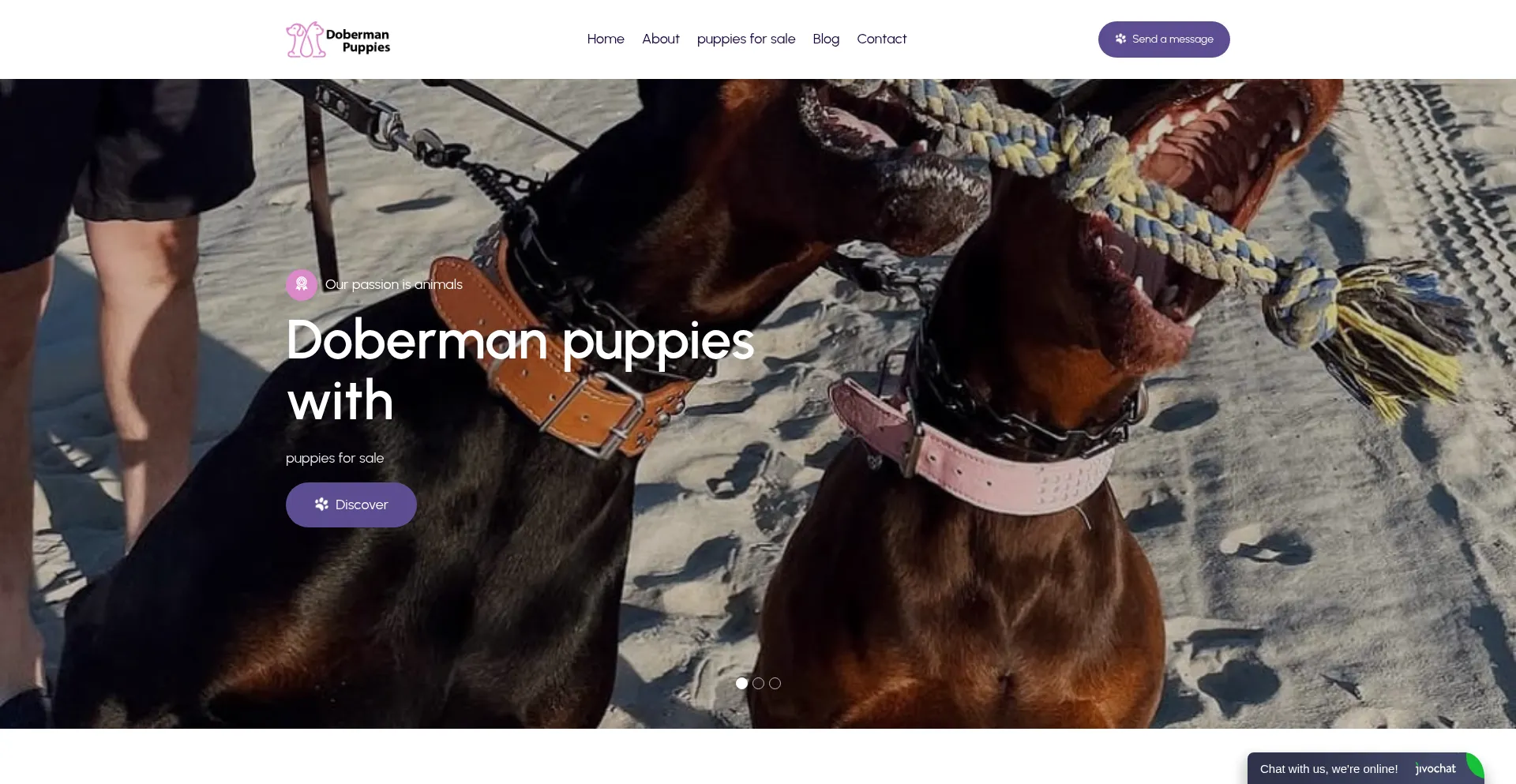 Germanshorthairedhome.com