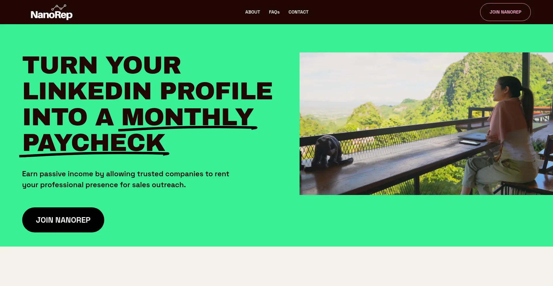 Website screenshot of Getnanorep.com
