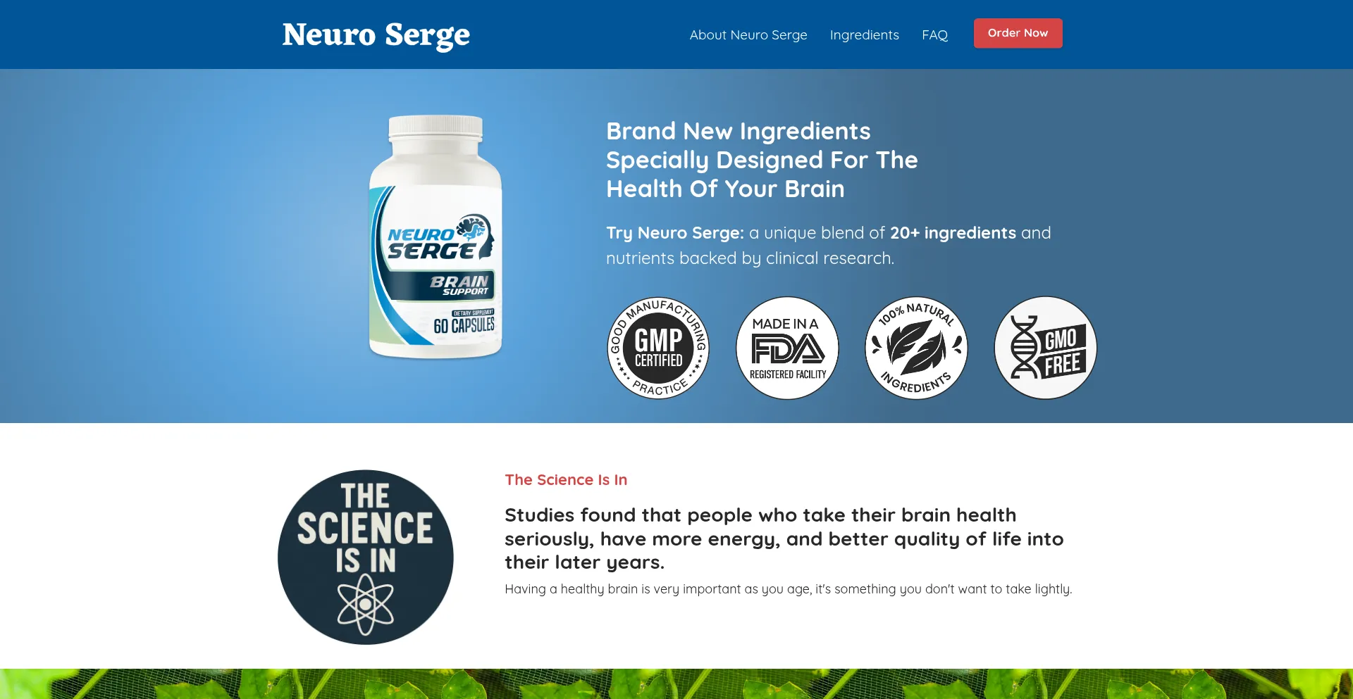 Getneuroserge.com