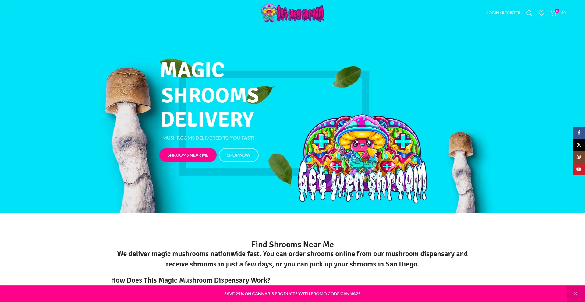 Website screenshot of Getwellshroom.com