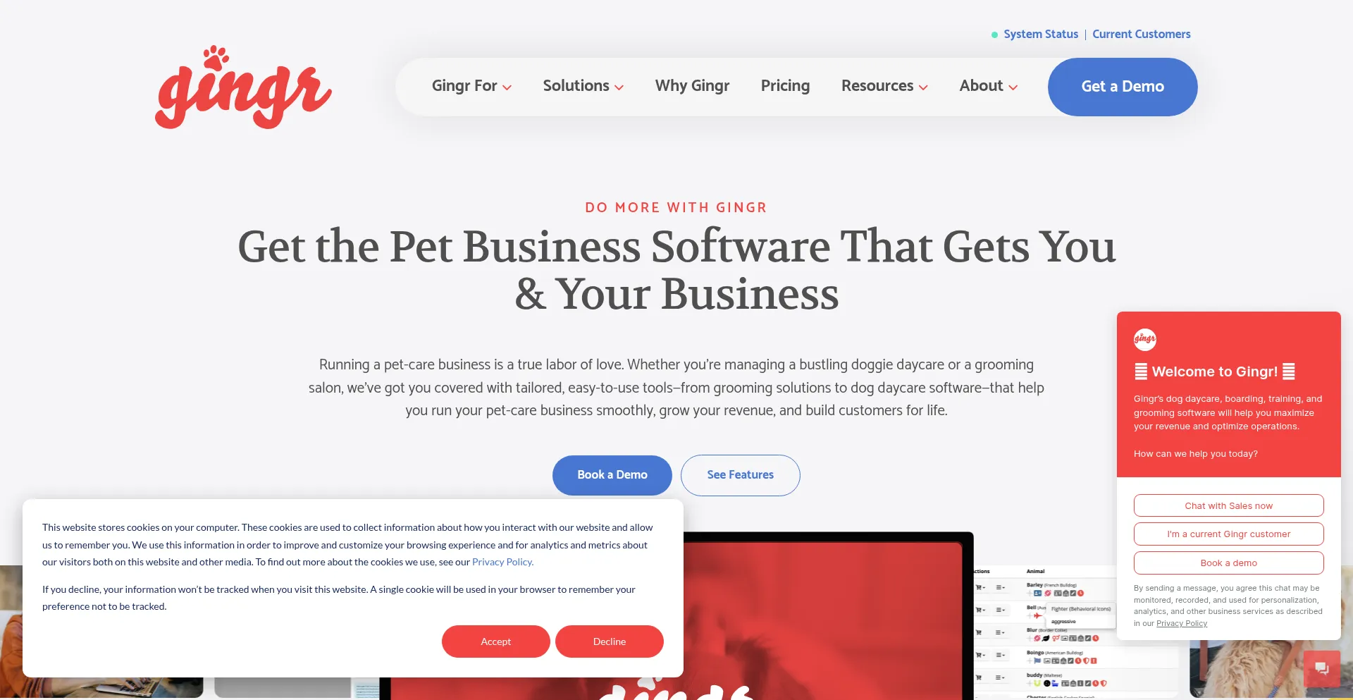 Website screenshot of Gingrapp.com