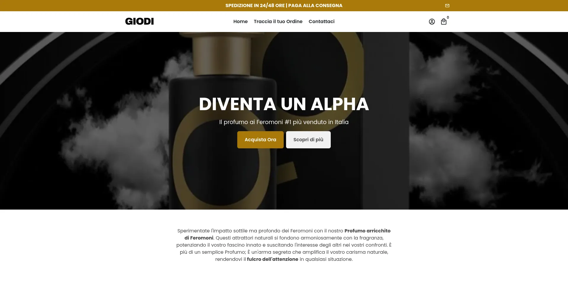 Website screenshot of Giodi.shop