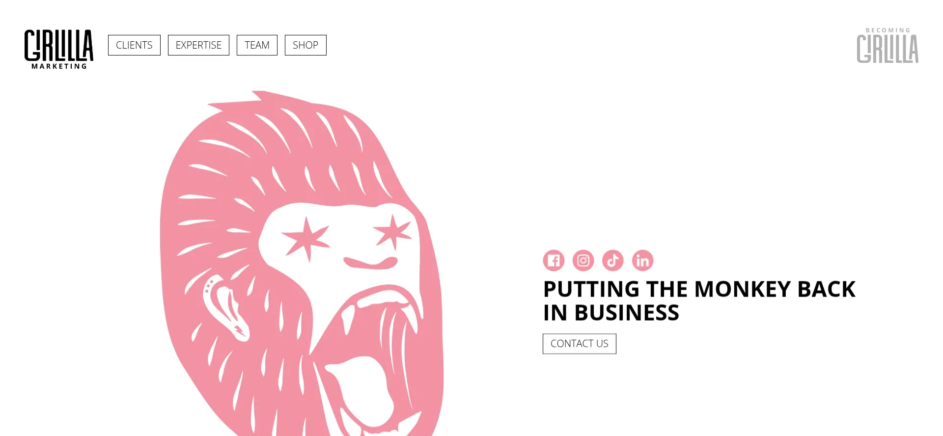 Girlillamarketing.com
