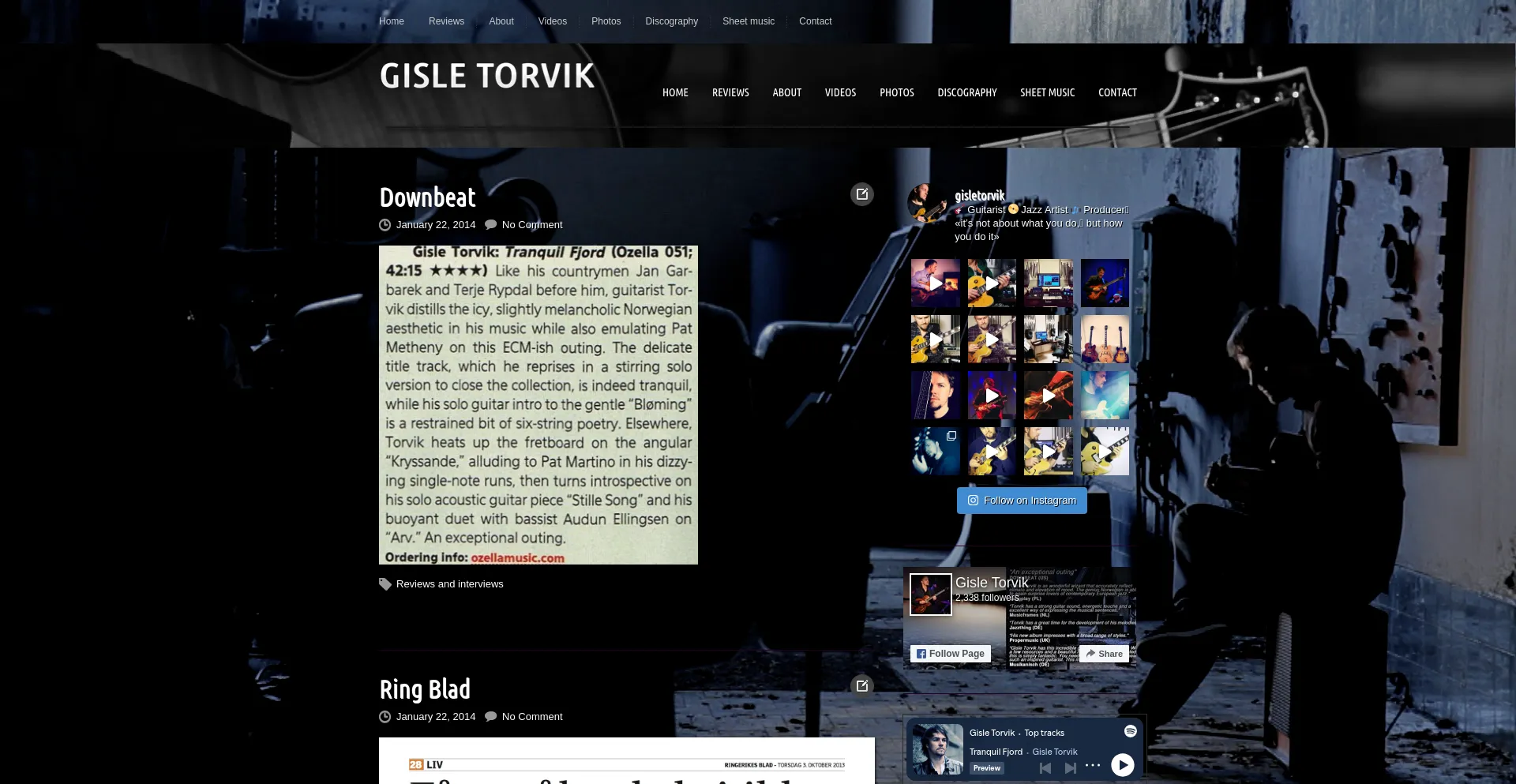 Website screenshot of Gisletorvik.com