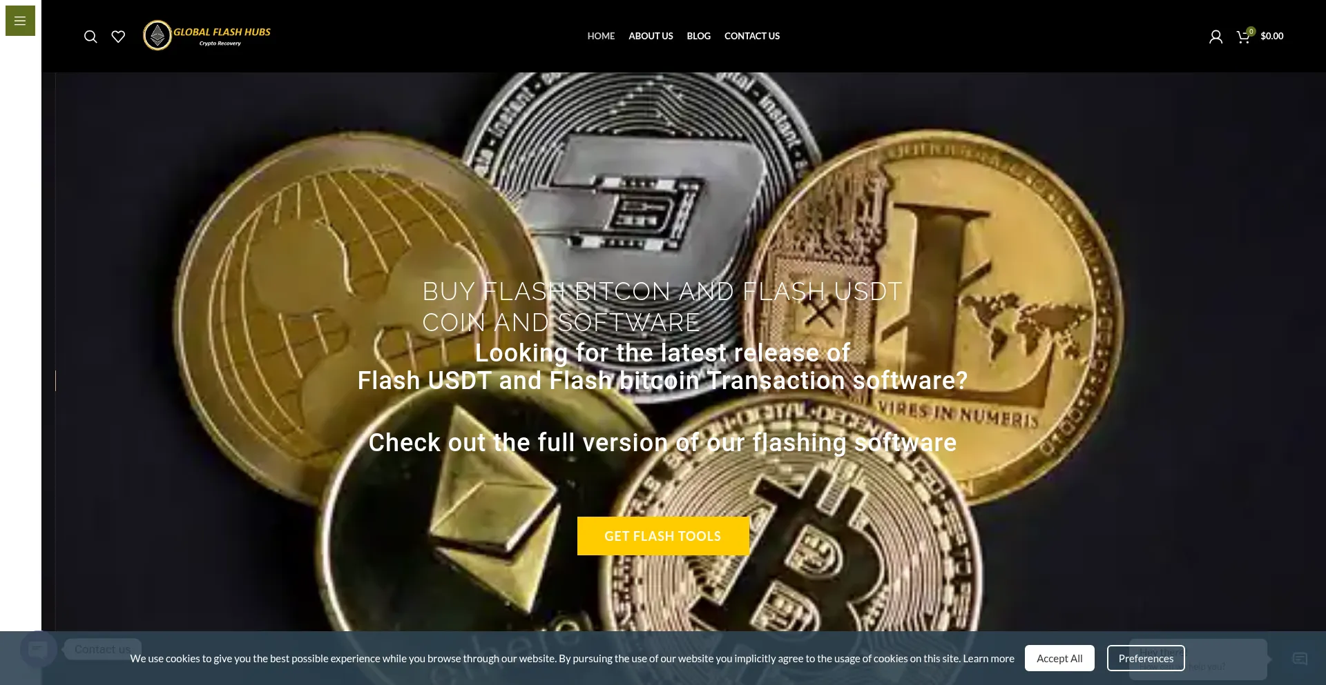 Globalflashhubs.com