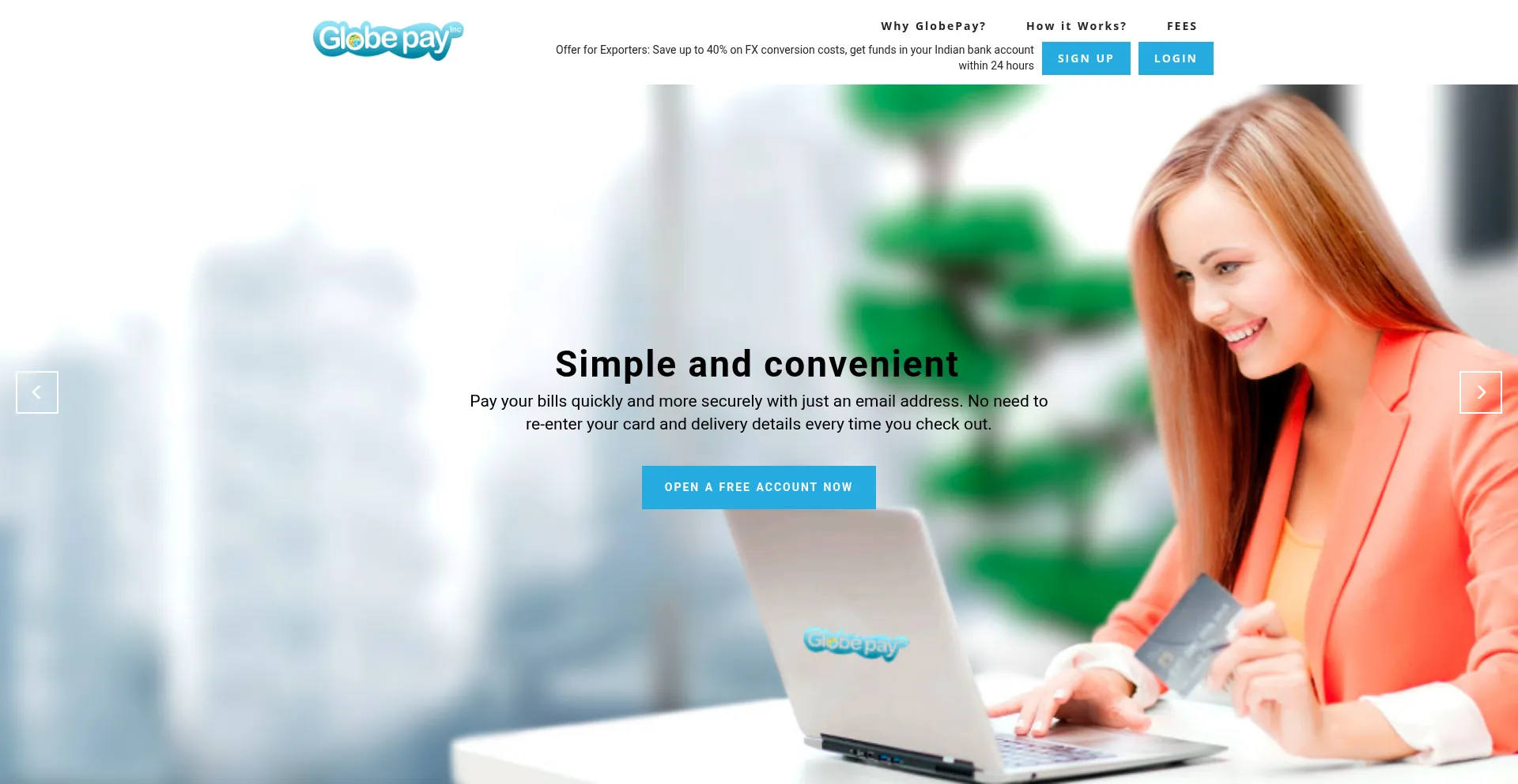 Website screenshot of Globepayinc.com