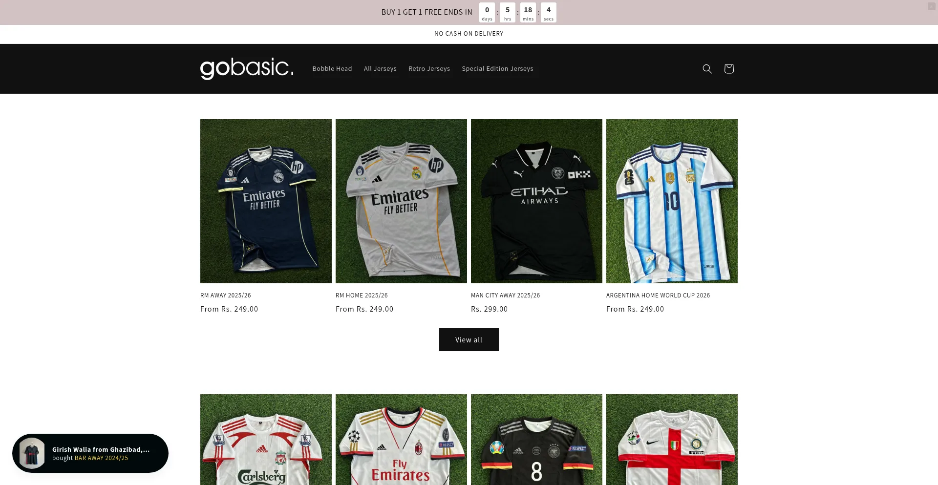 Website screenshot of Gobasic.in