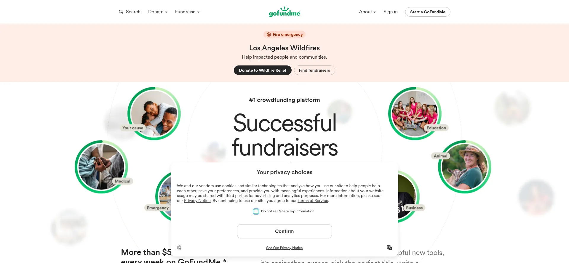 Website screenshot of Gofund.me