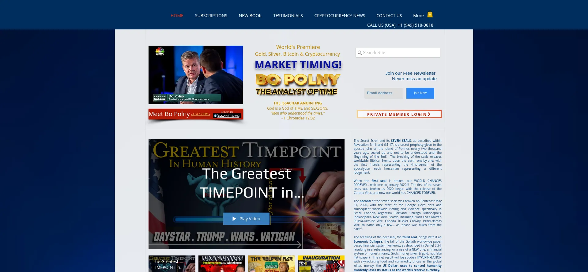 Website screenshot of Gold2020forecast.com