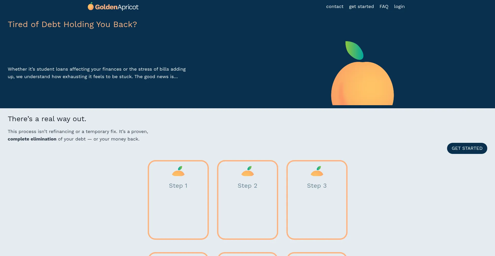 Website screenshot of Goldenapricot.net