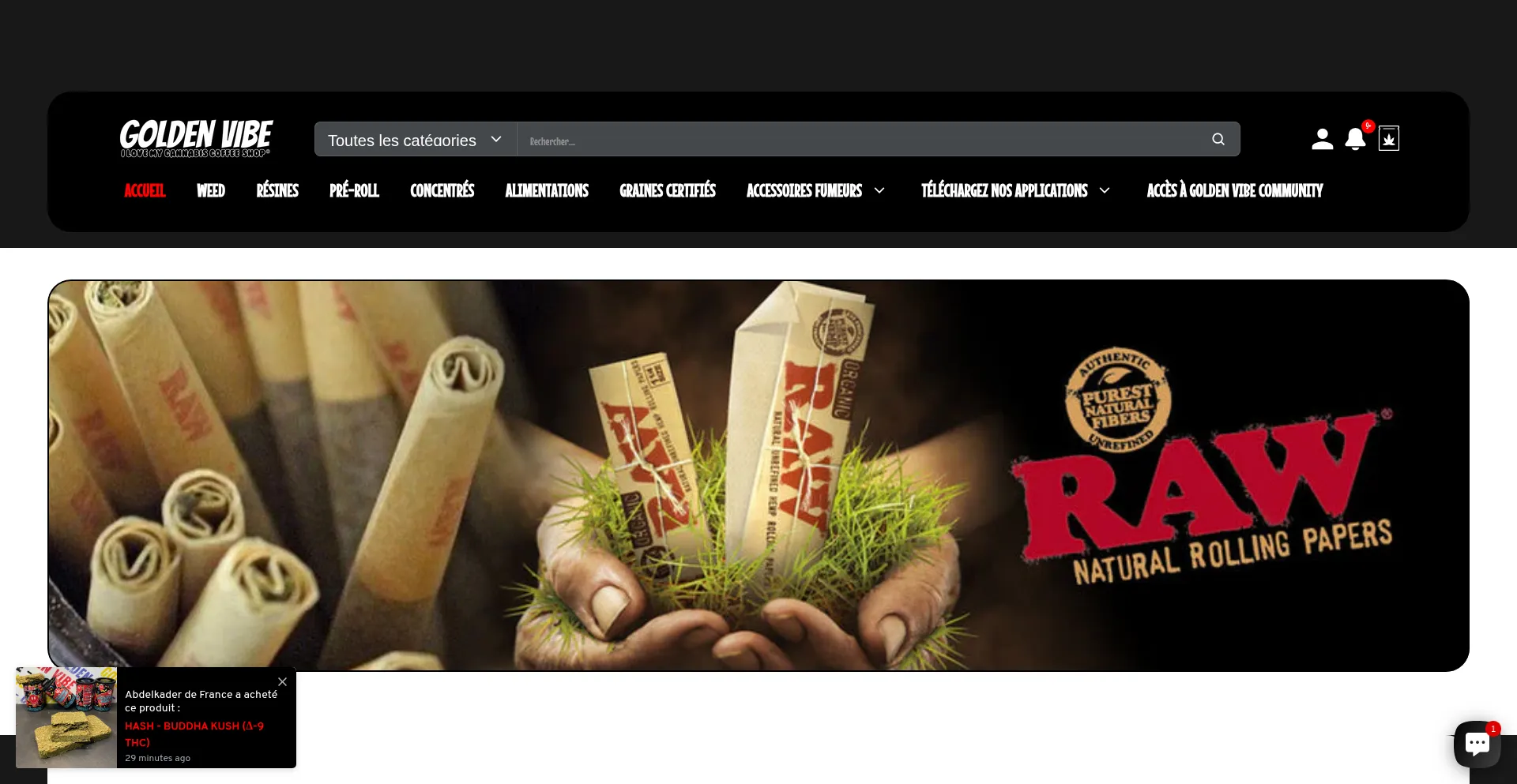 Website screenshot of Goldenvibeofficiel.com
