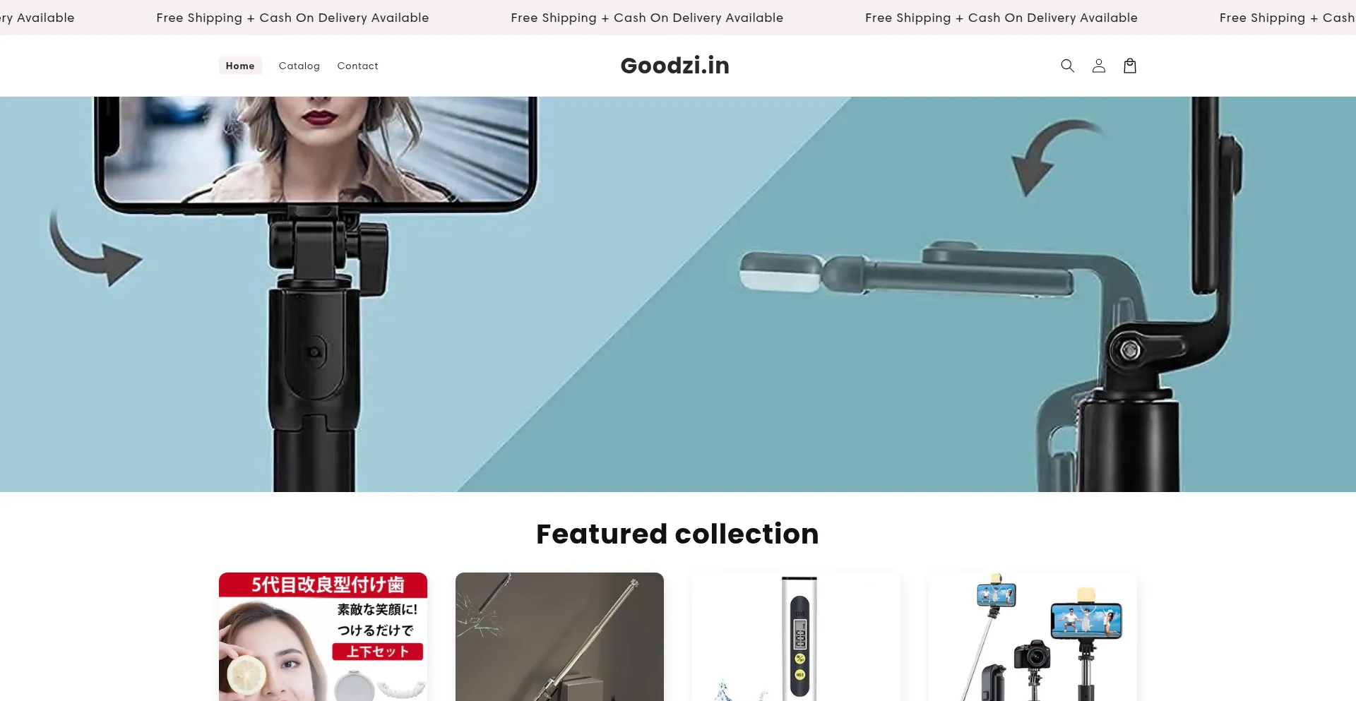 Website screenshot of Goodzi.in