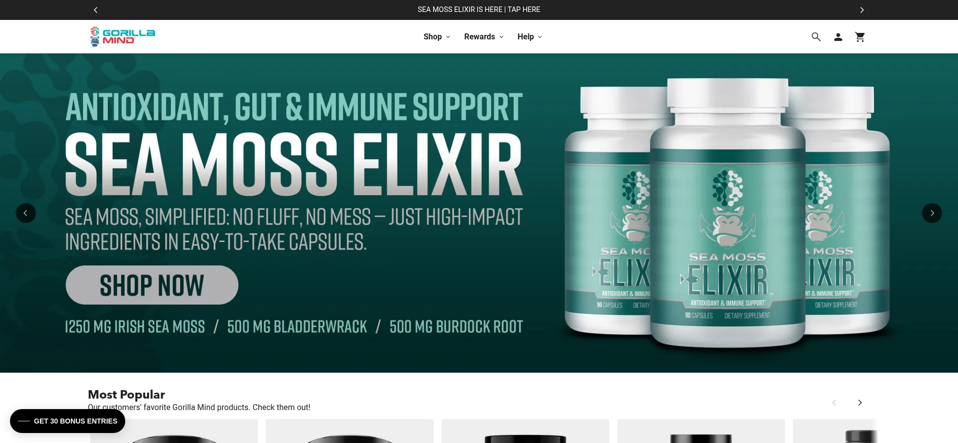 Website screenshot of Gorillamind.com