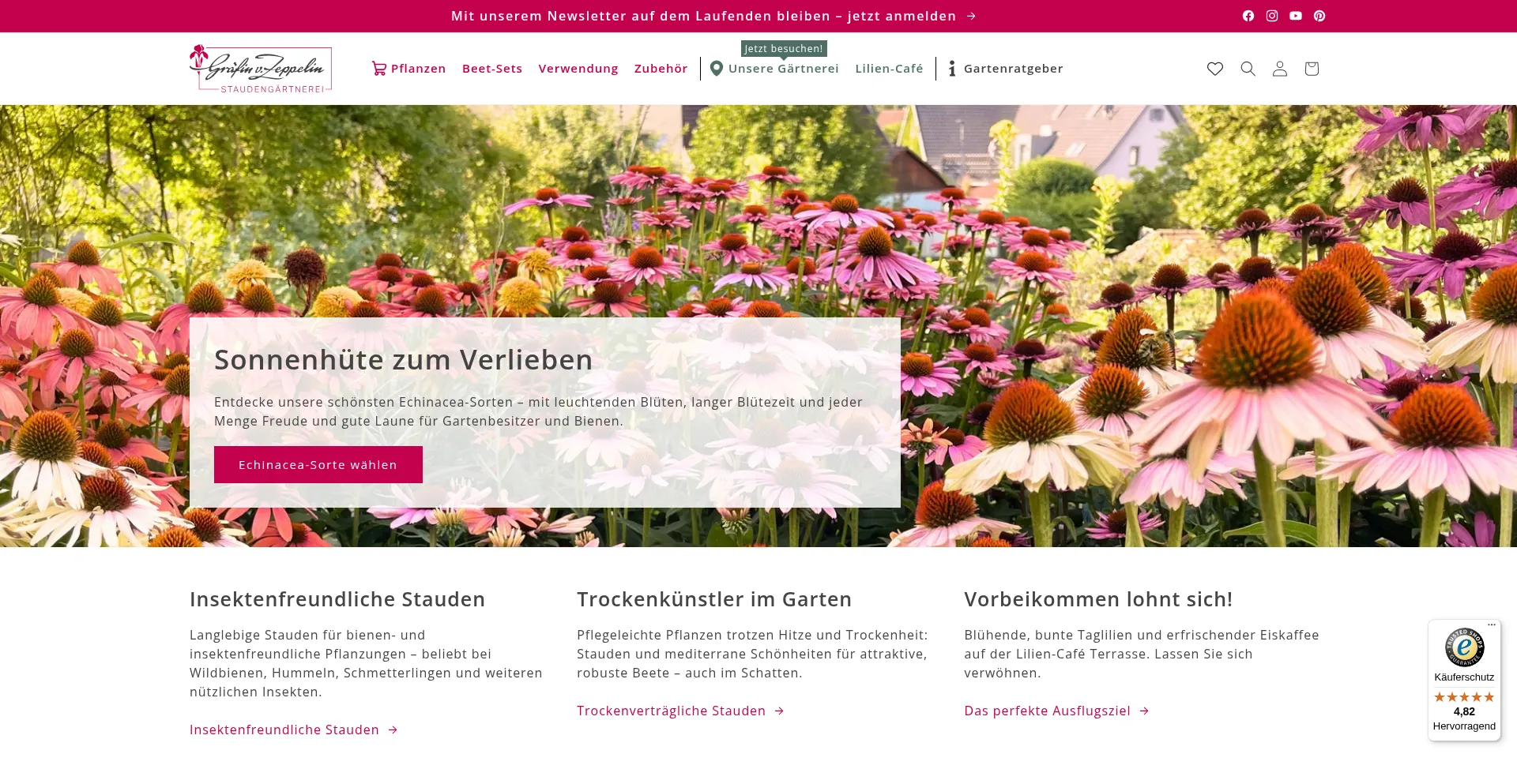 Graefin-von-zeppelin.de