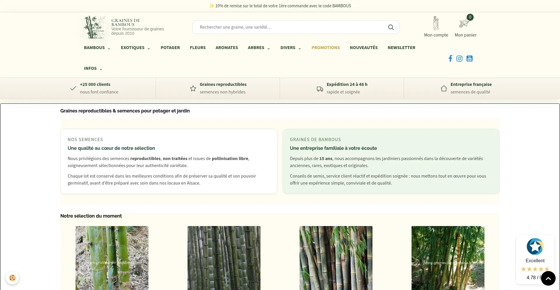 Graines-de-bambous.fr