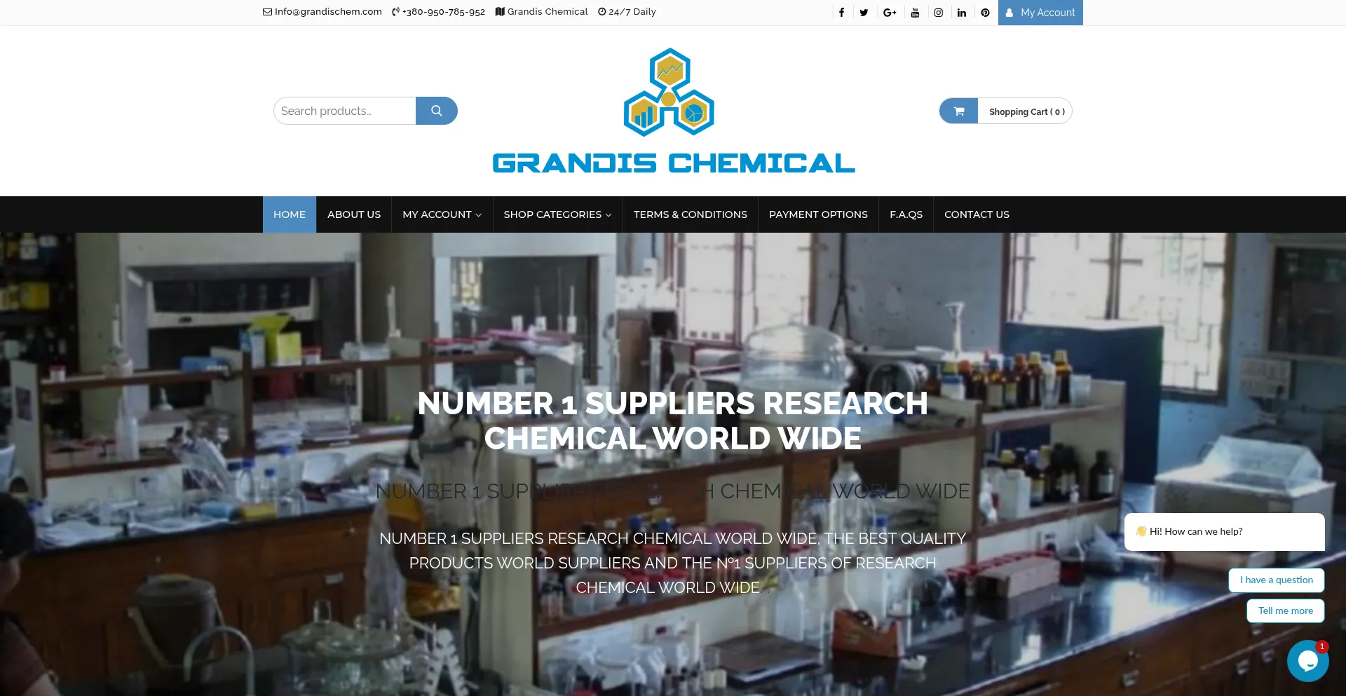 Website screenshot of Grandischem.com