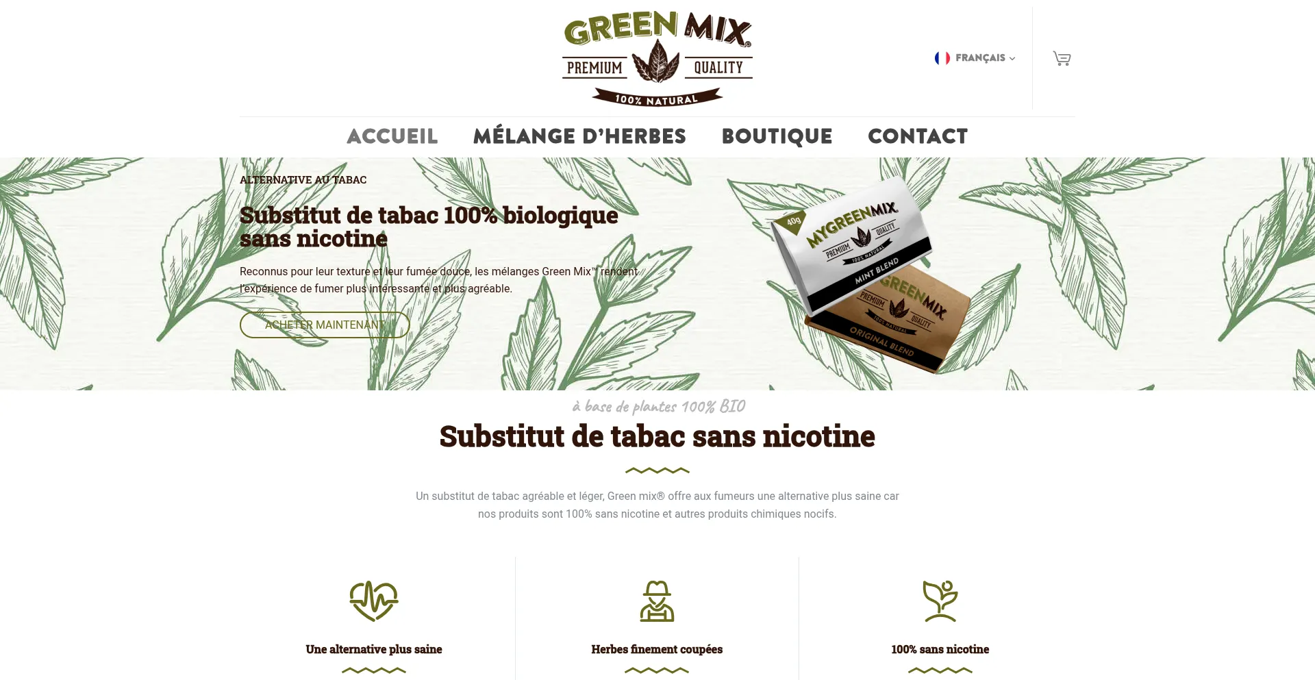 Website screenshot of Green-mix.fr