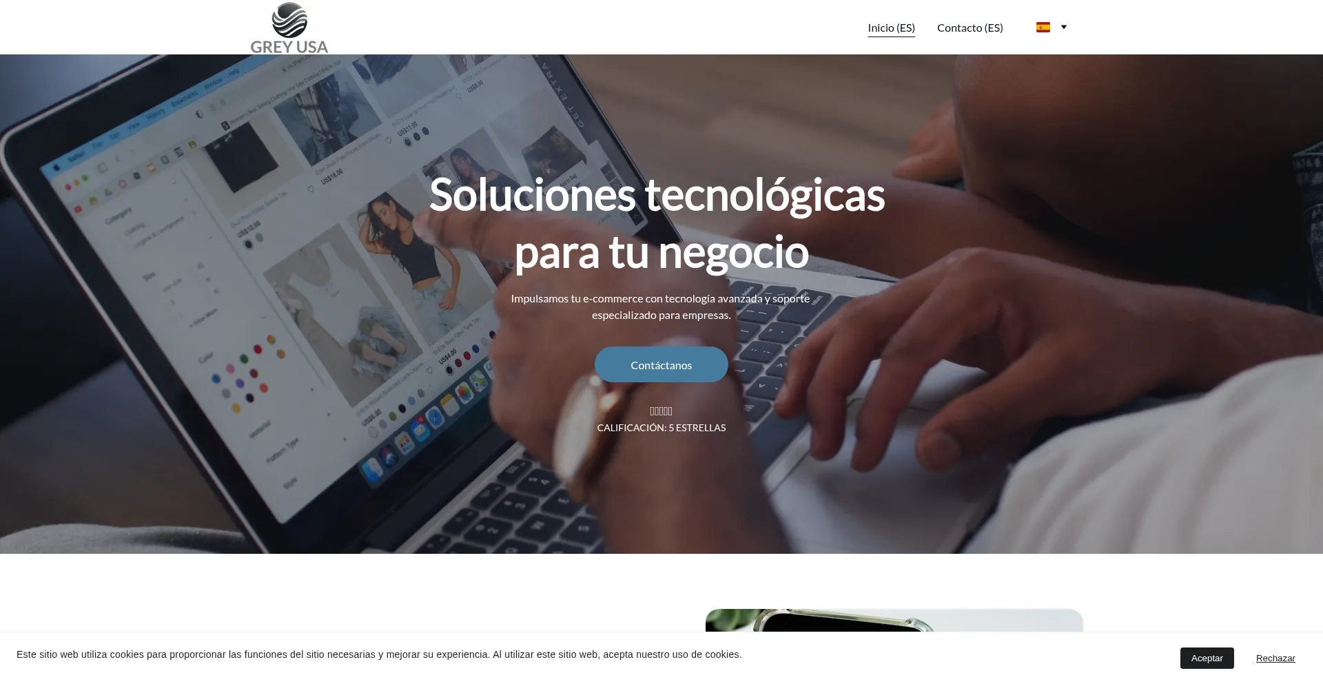 Website screenshot of Greyholdingsco.com
