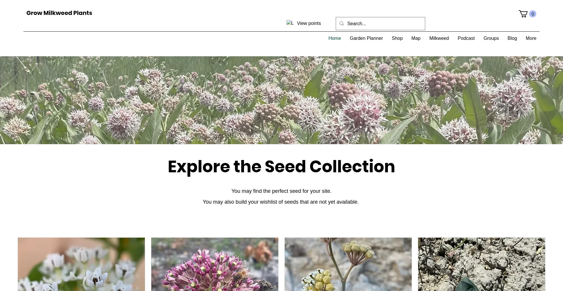 Website screenshot of Growmilkweedplants.com