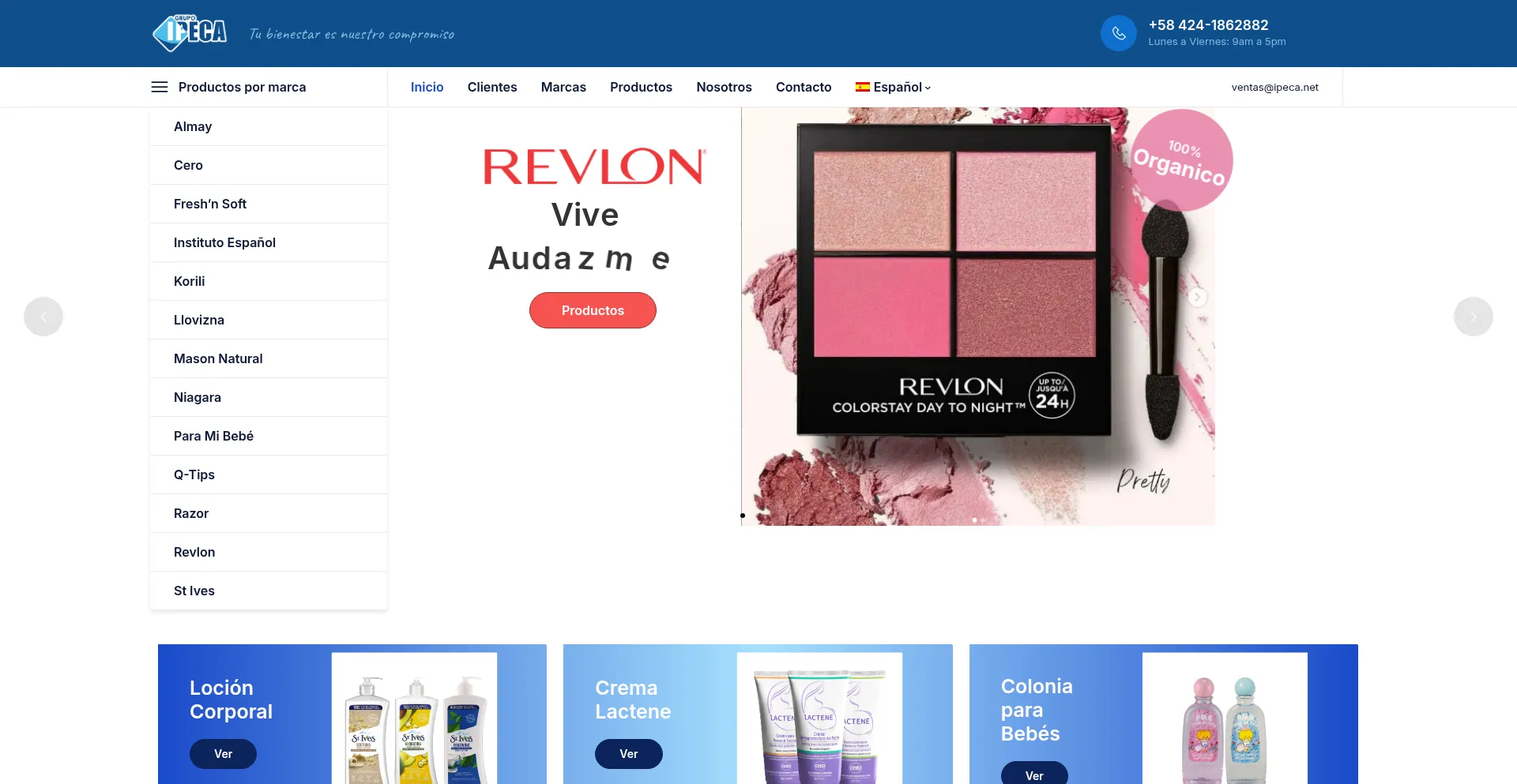 Website screenshot of Grupoipeca.com
