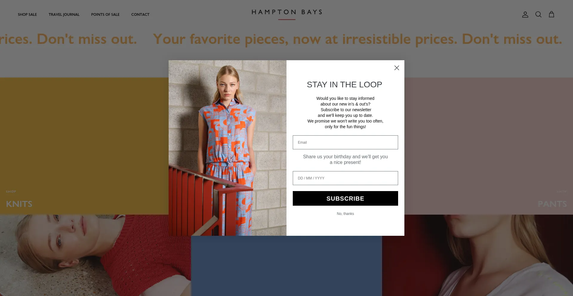 Website screenshot of Hamptonbays.be
