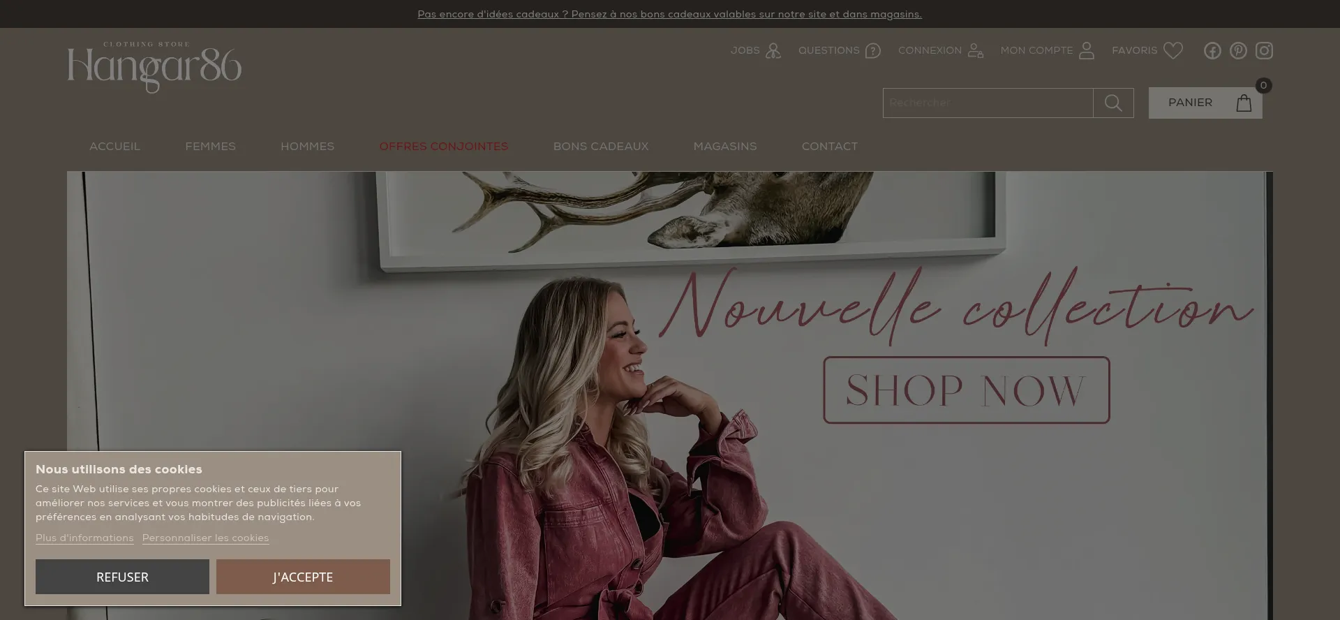 Website screenshot of Hangar86.com