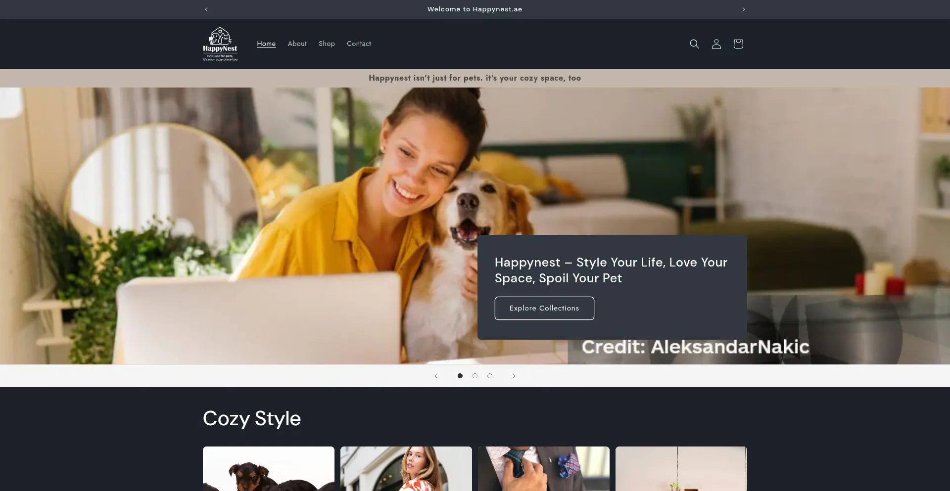 Website screenshot of Happynest.ae