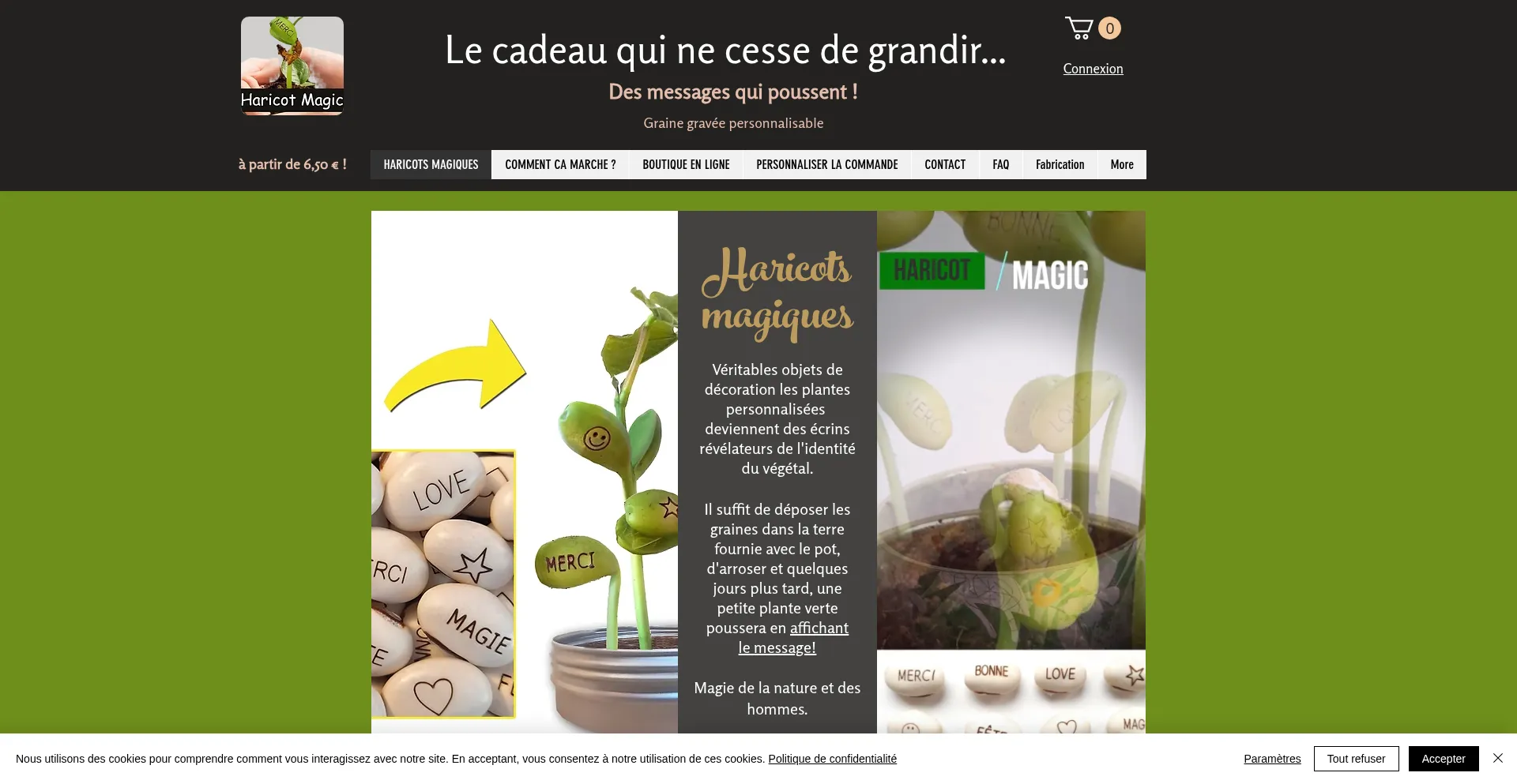 Haricotmagic.com