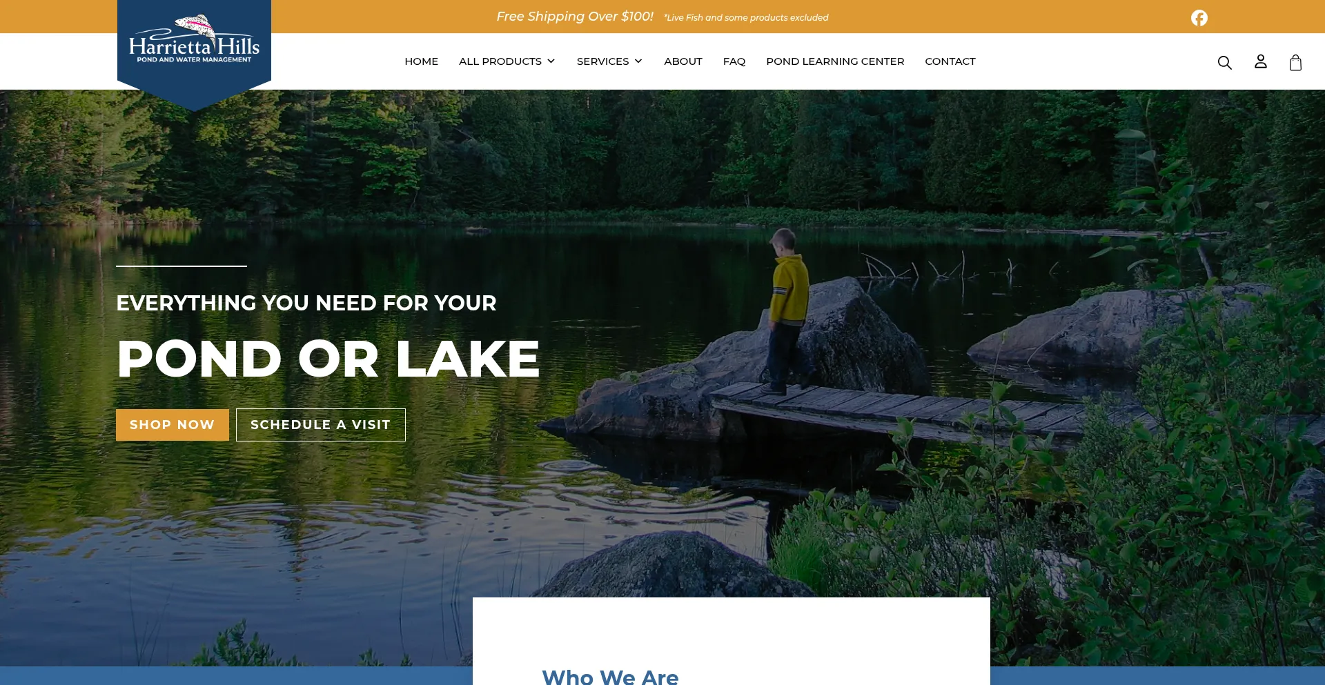 Website screenshot of Harriettahills.com
