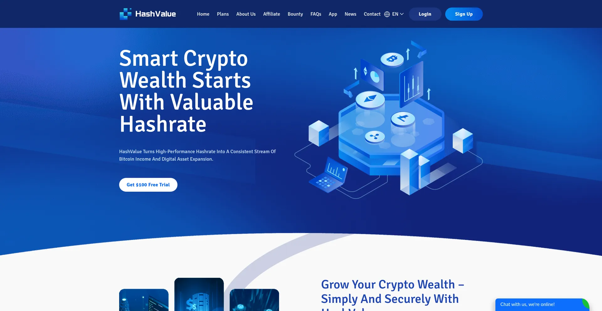 Website screenshot of Hashvalue.net