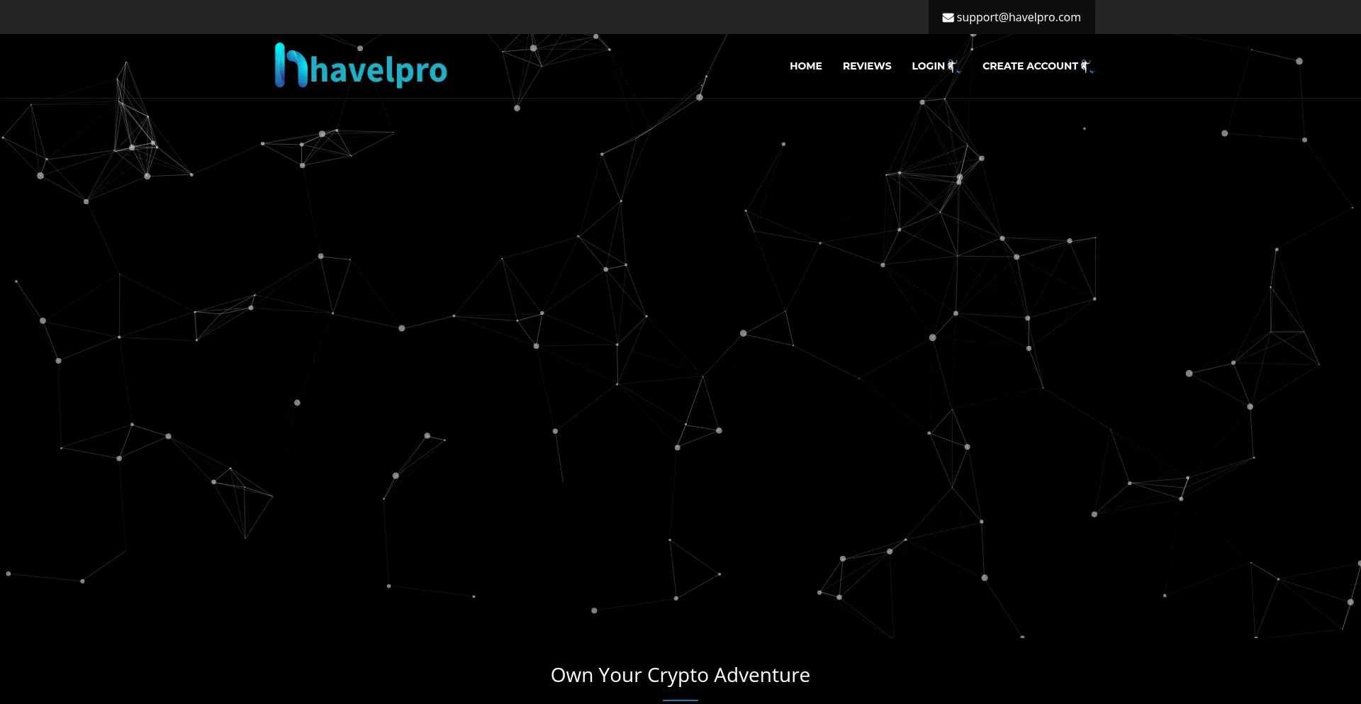 Website screenshot of Havelpro.com