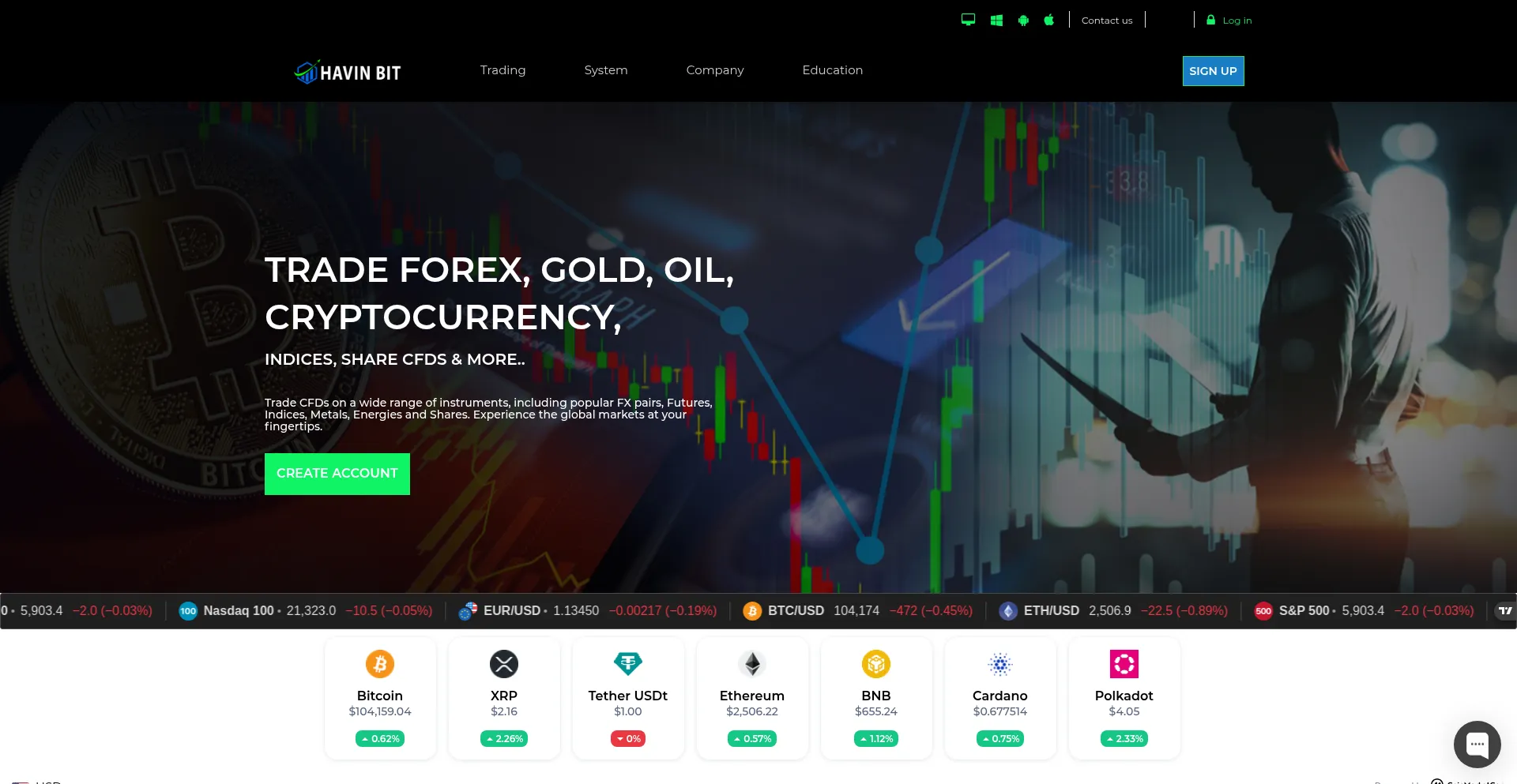 Website screenshot of Havinbit.com
