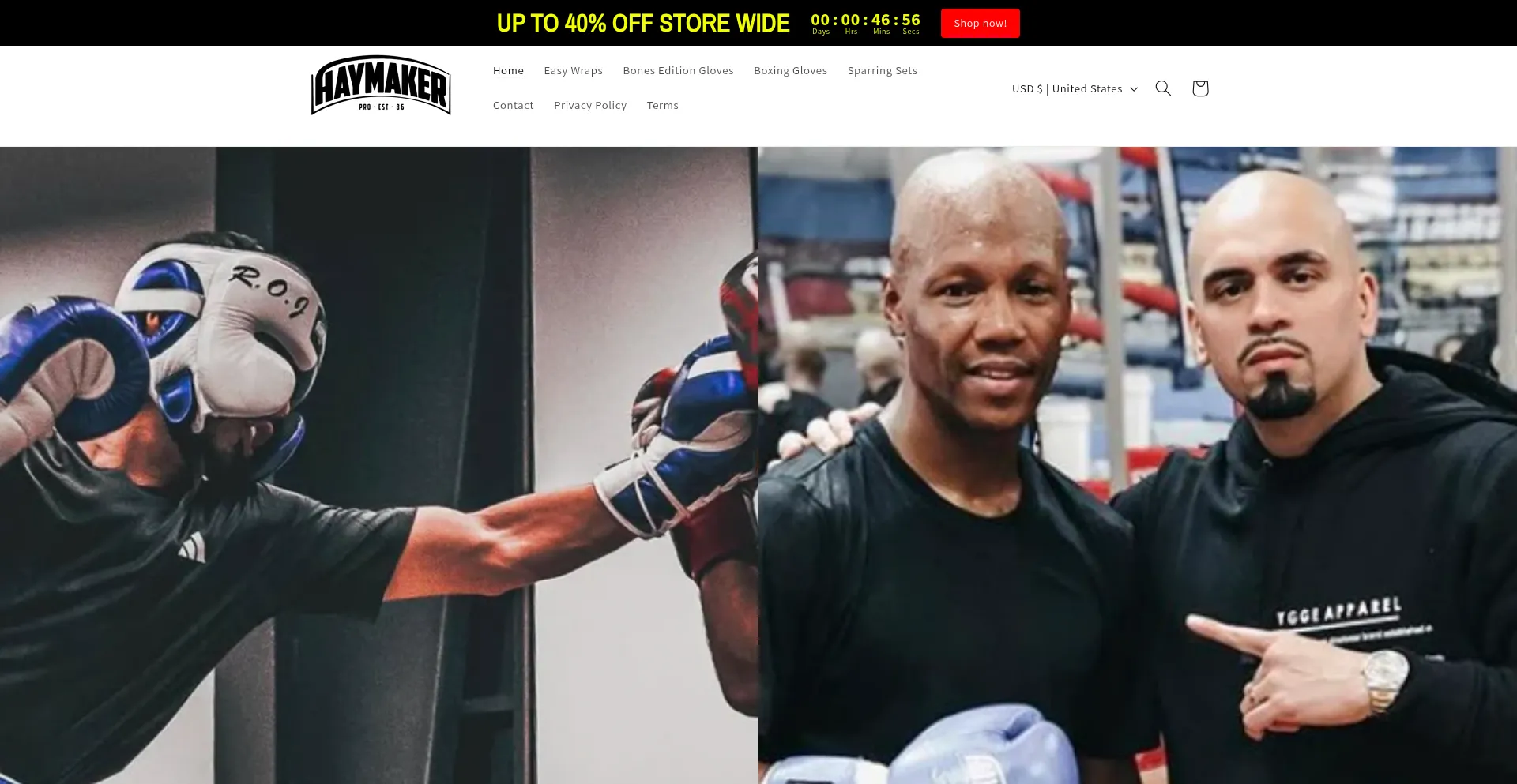 Website screenshot of Haymakerstore.com