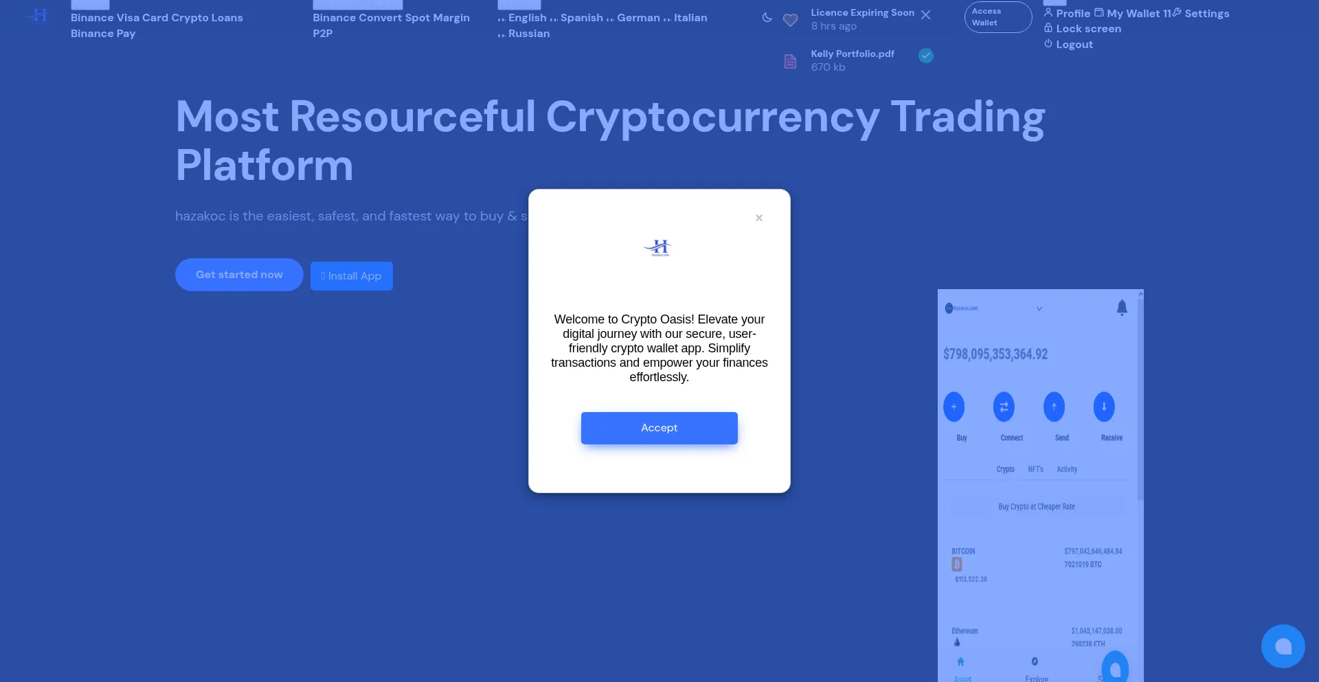 Website screenshot of Hazakoc.com