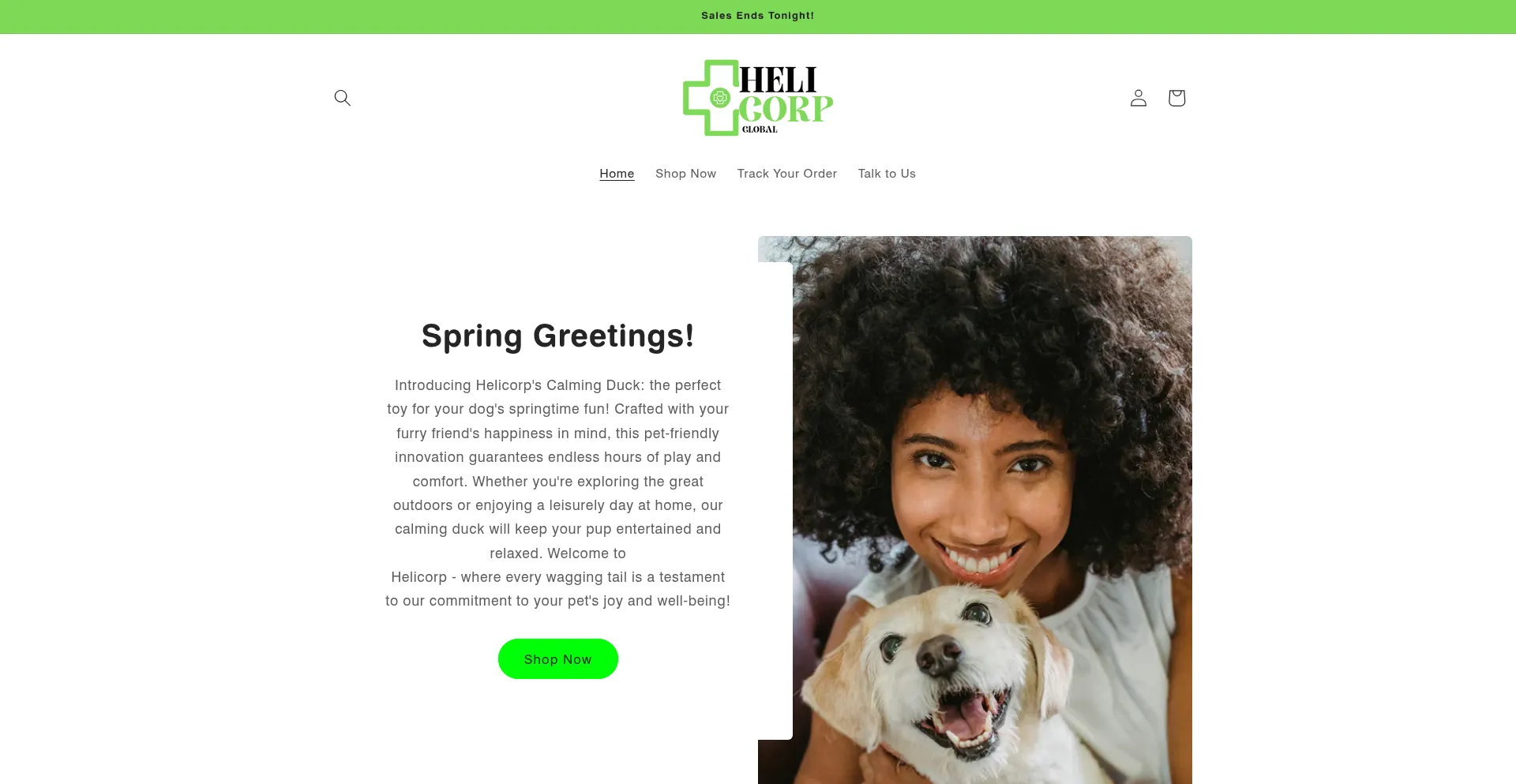 Website screenshot of Helicorpglobal.com
