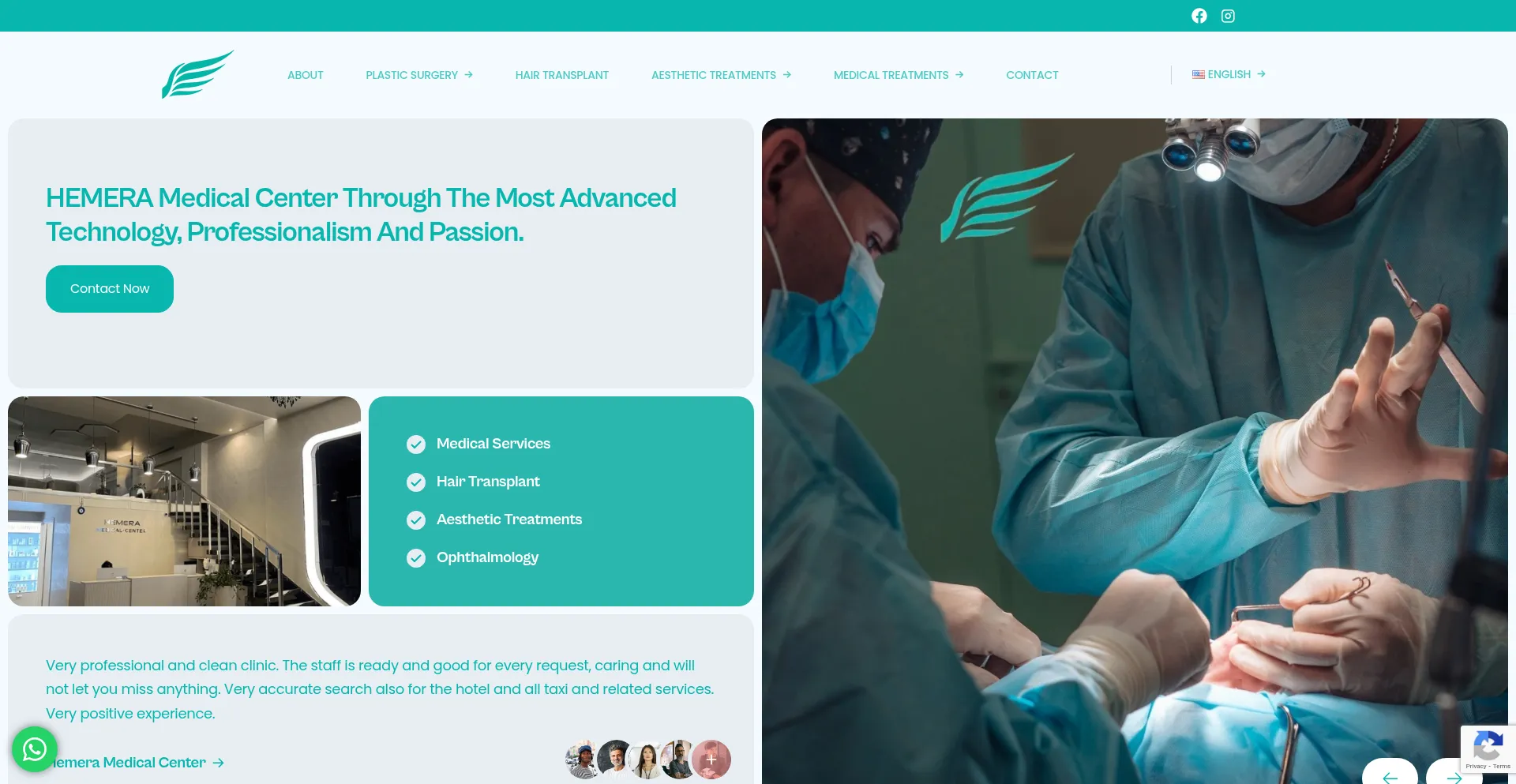 Website screenshot of Hemera.al
