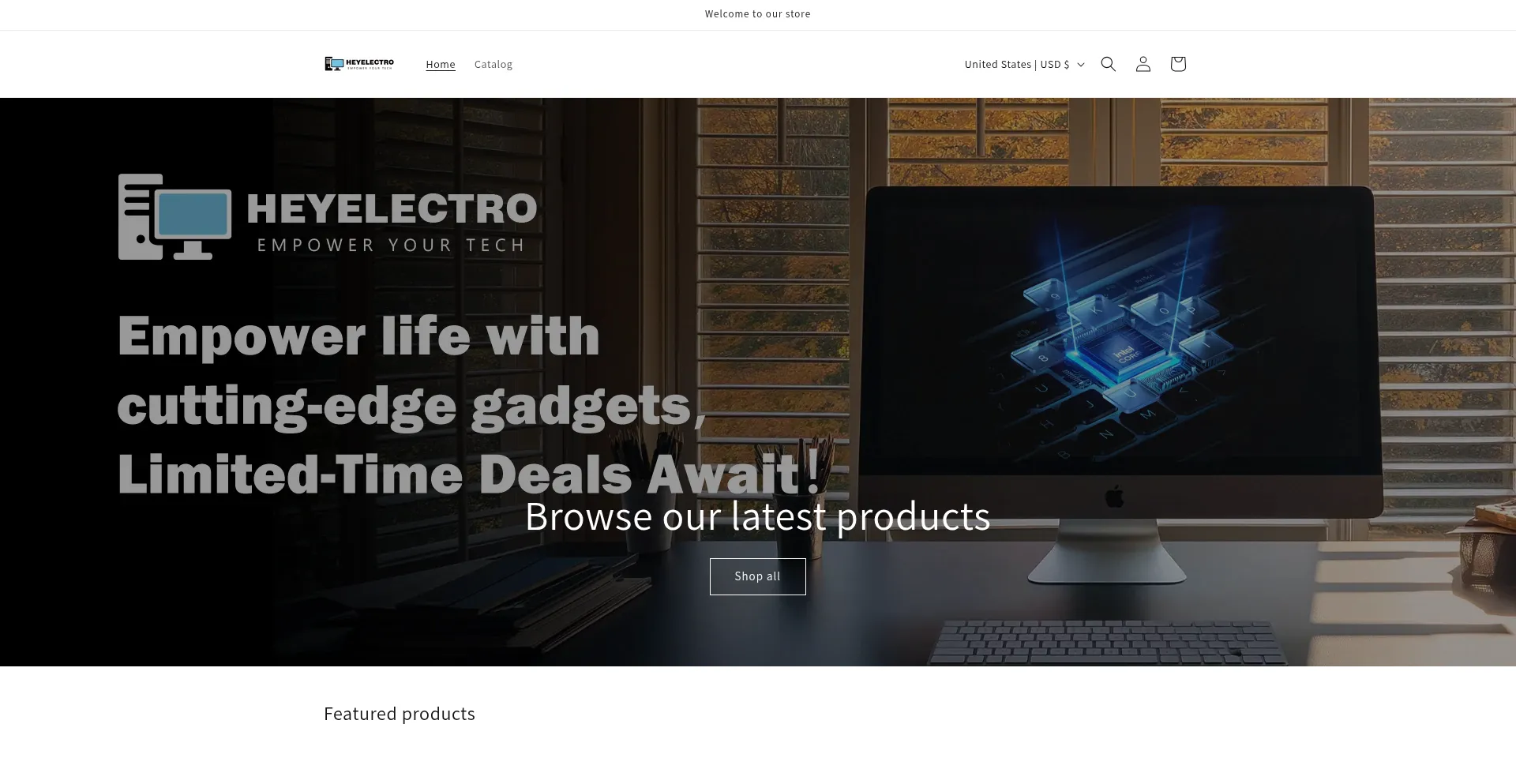 Website screenshot of Heyelectro.com