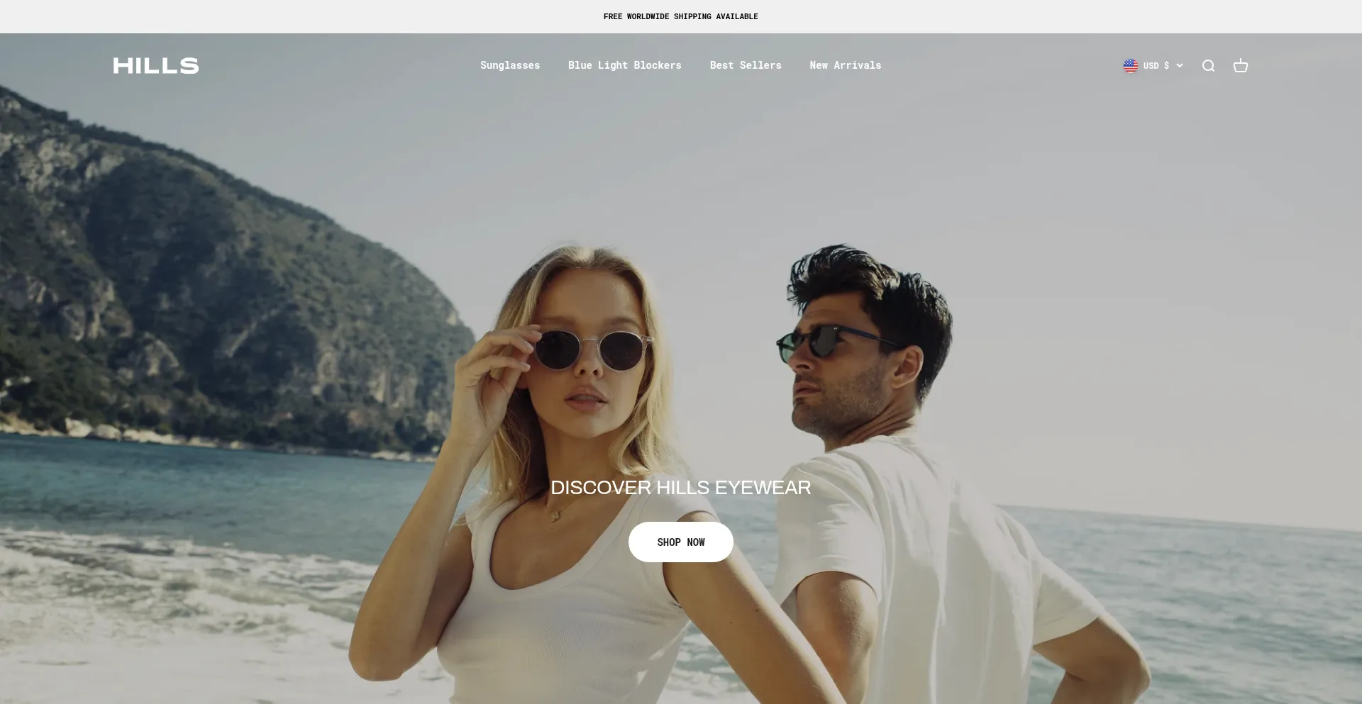 Website screenshot of Hillseyewear.com