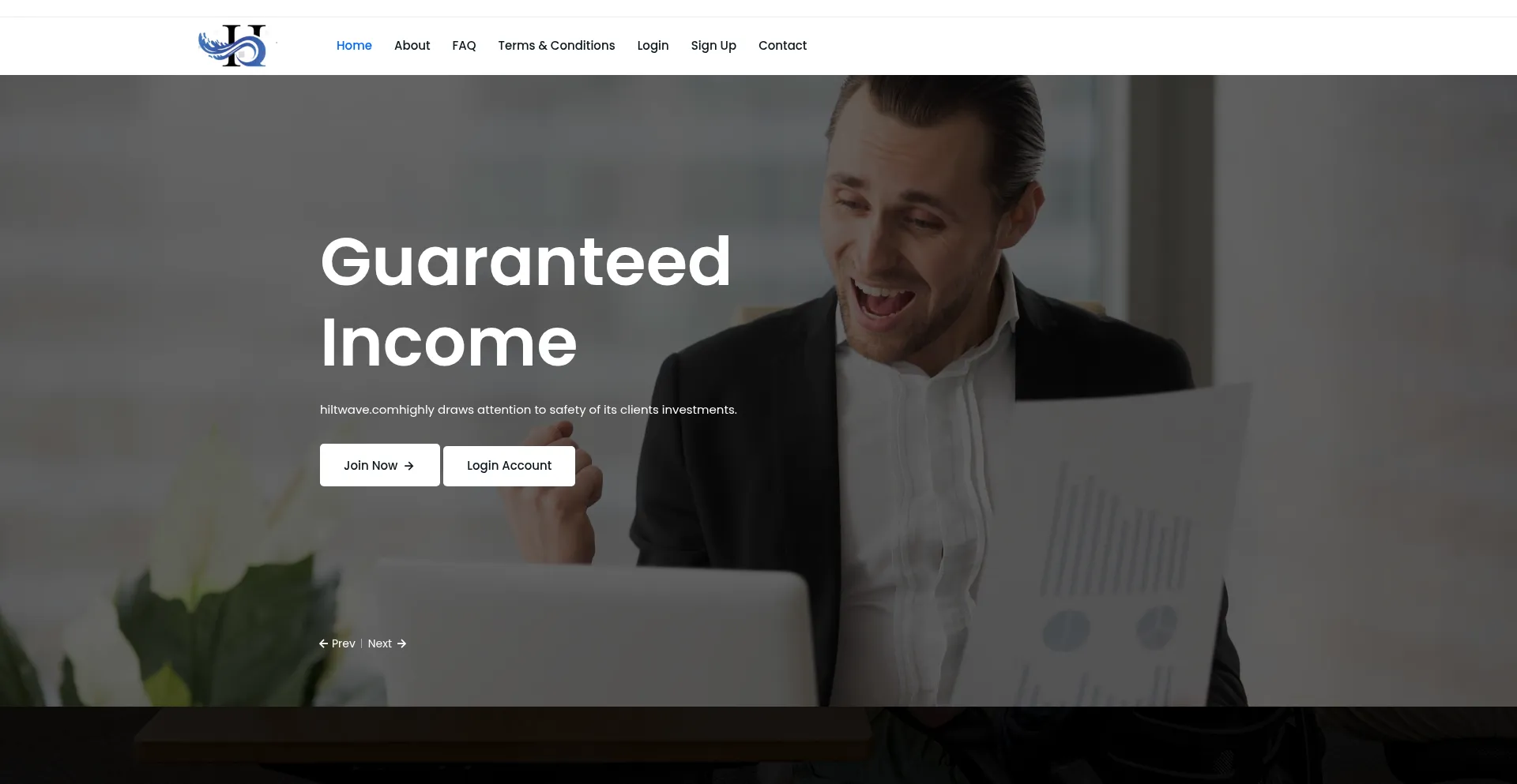 Website screenshot of Hiltwave.com