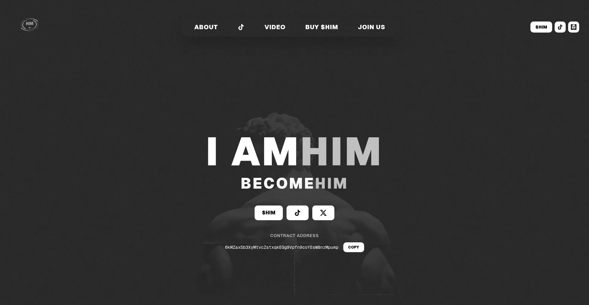 Himcoin.fun