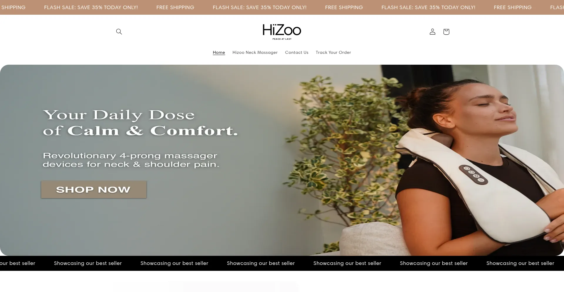 Website screenshot of Hizootherapy.com