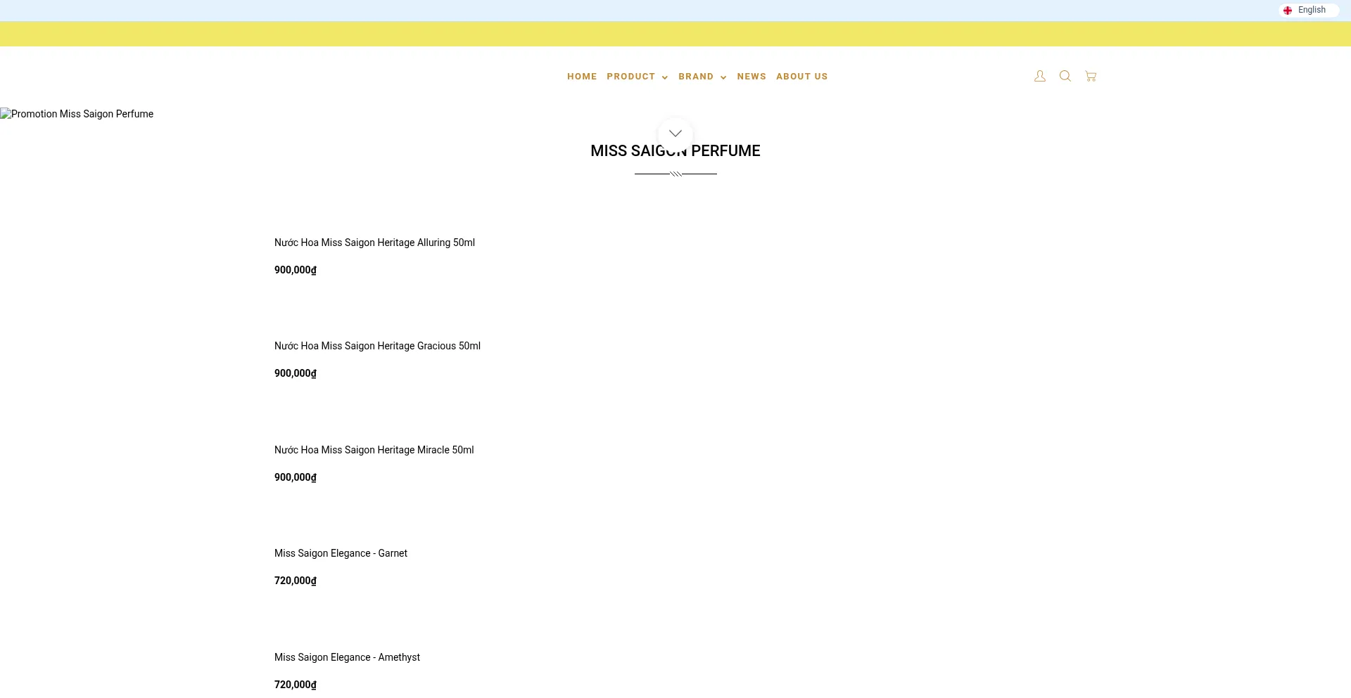 Website screenshot of Hoarient.com